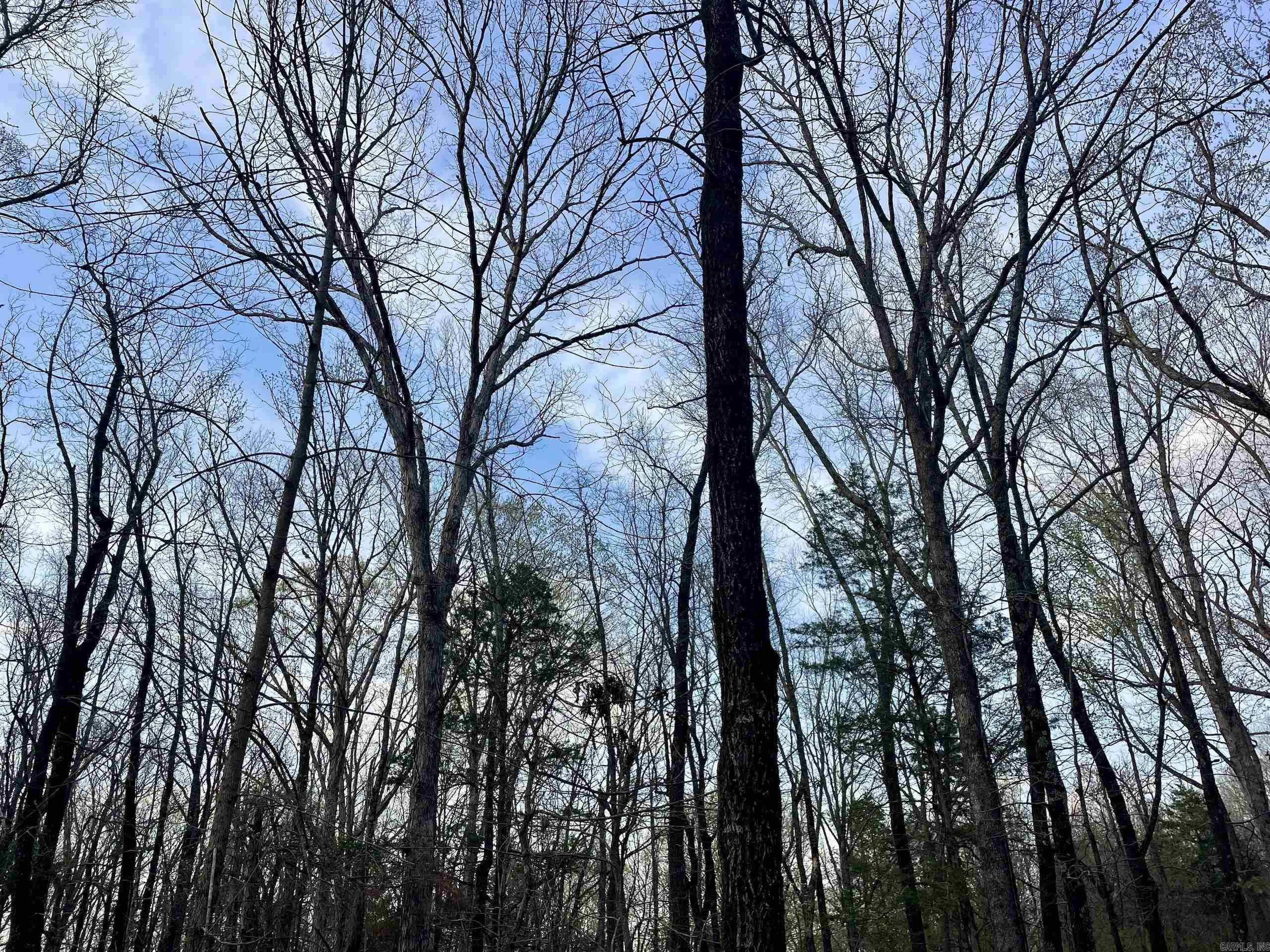 000  Trout Way  Judsonia, AR