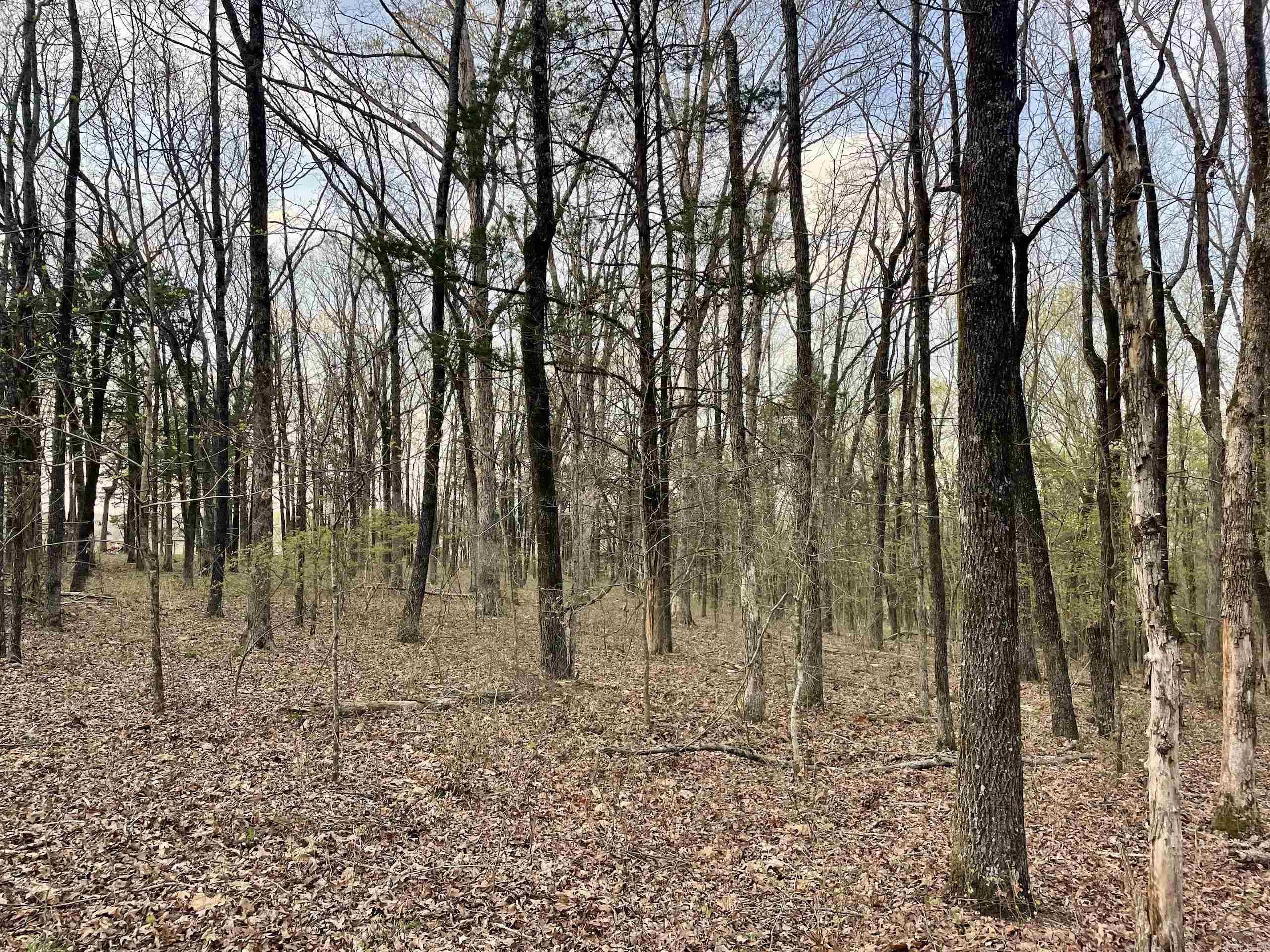 000  Trout Way  Judsonia, AR