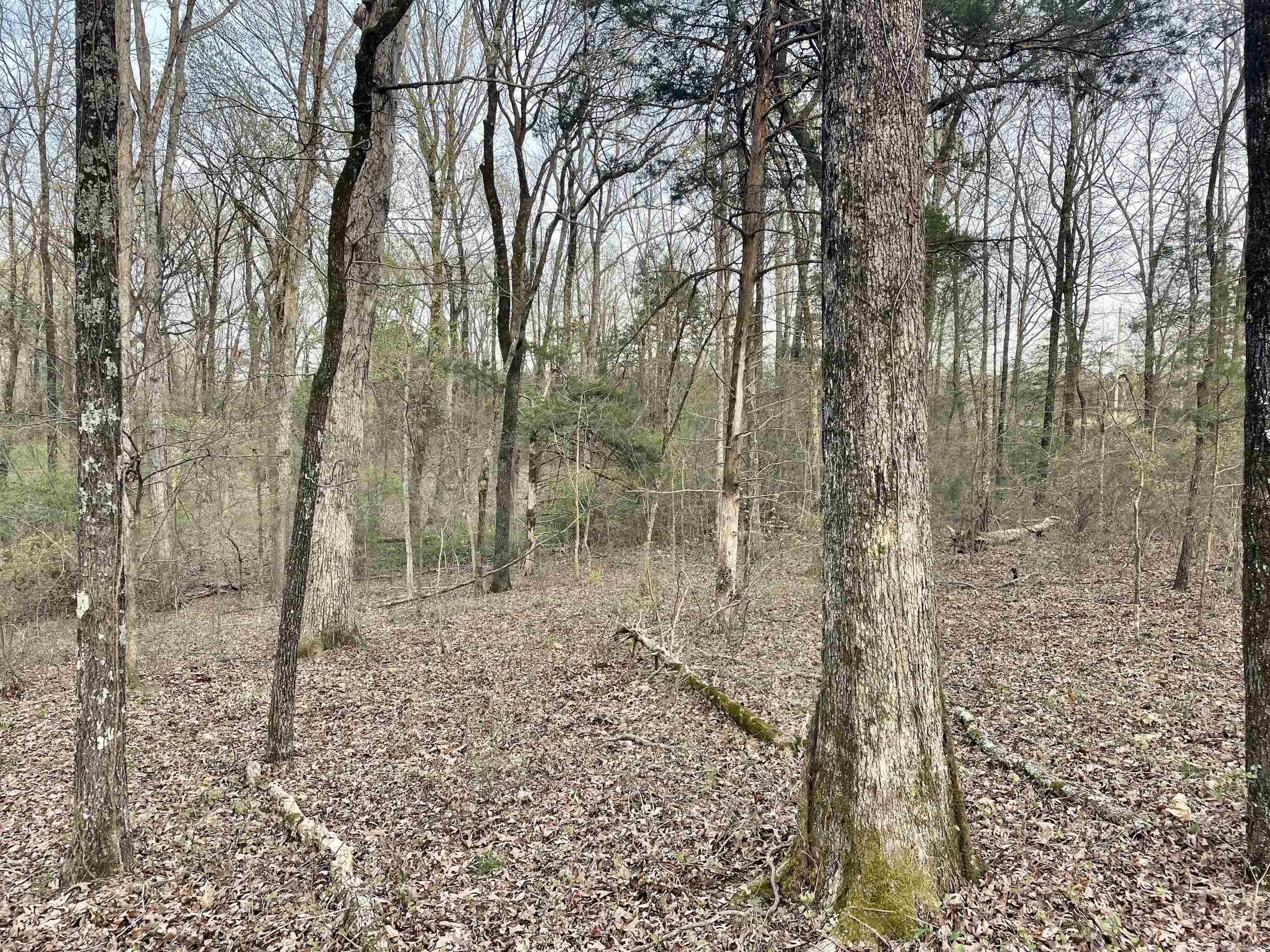 000  Trout Way  Judsonia, AR