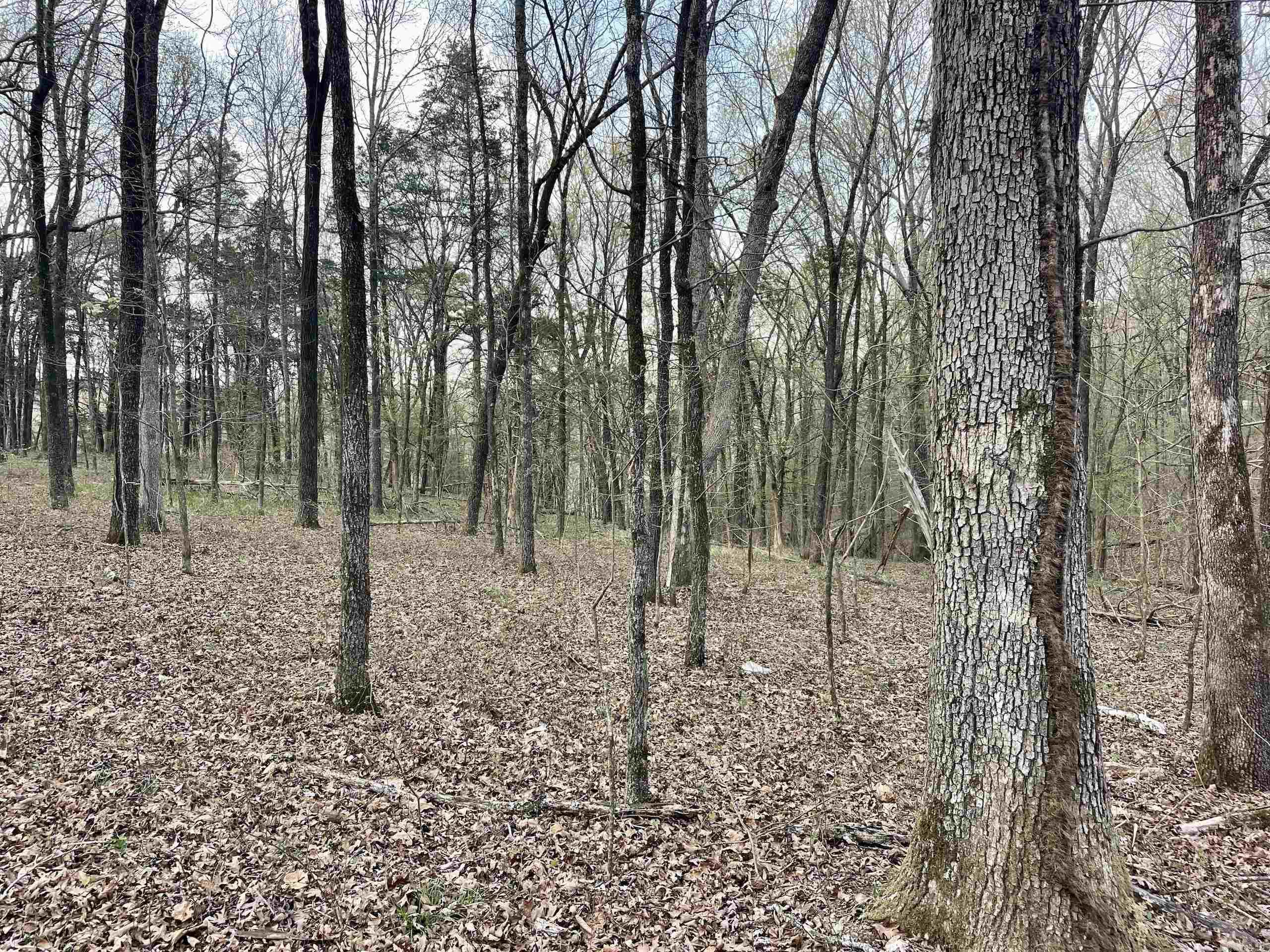 000  Trout Way  Judsonia, AR