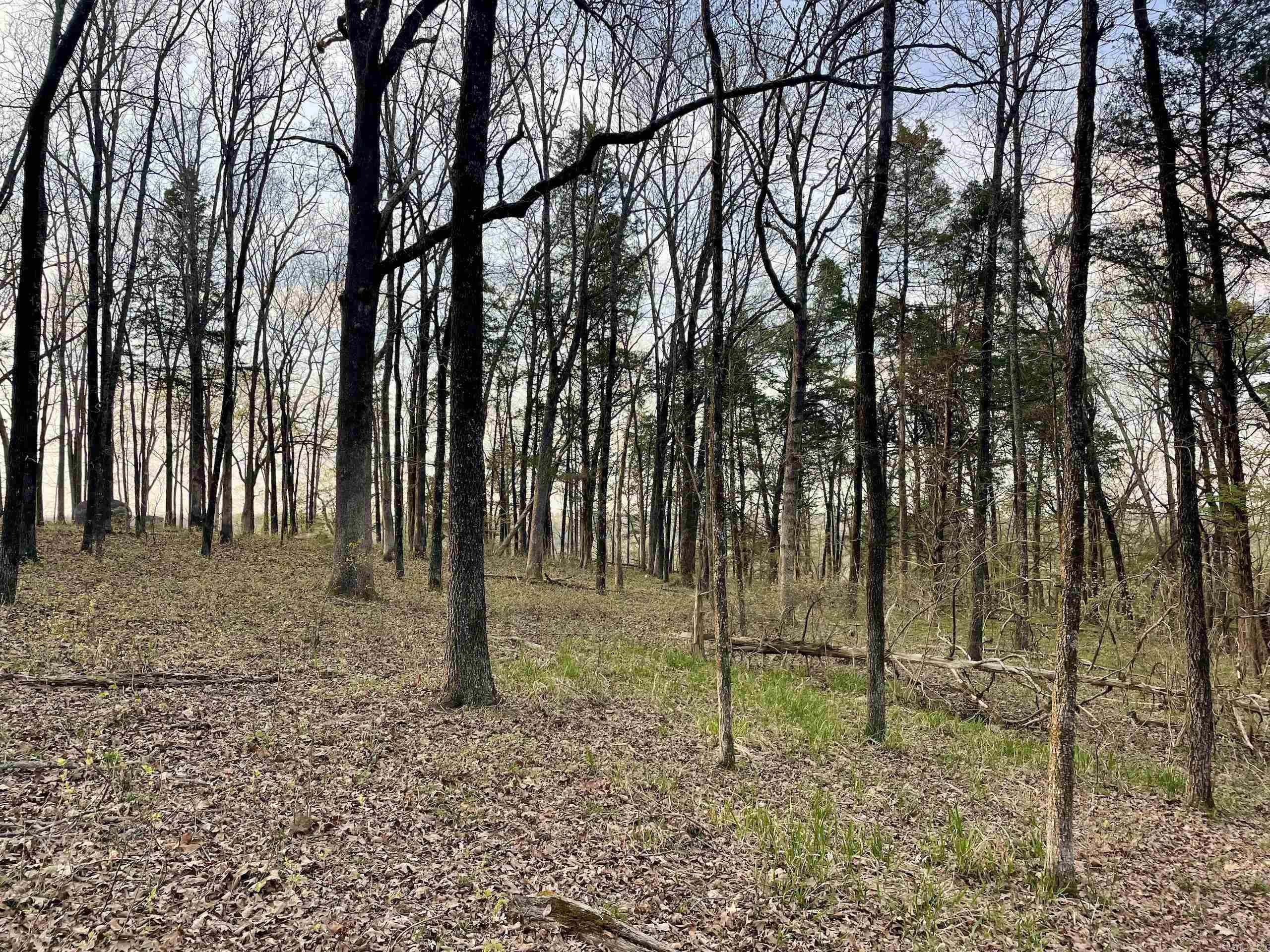000  Trout Way  Judsonia, AR