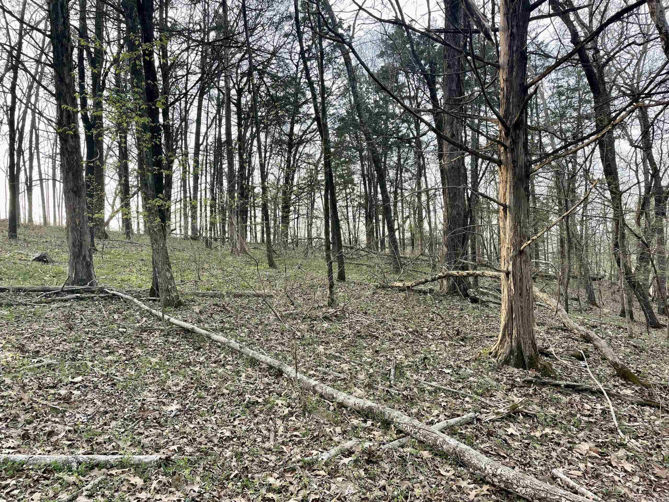 000  Trout Way  Judsonia, AR