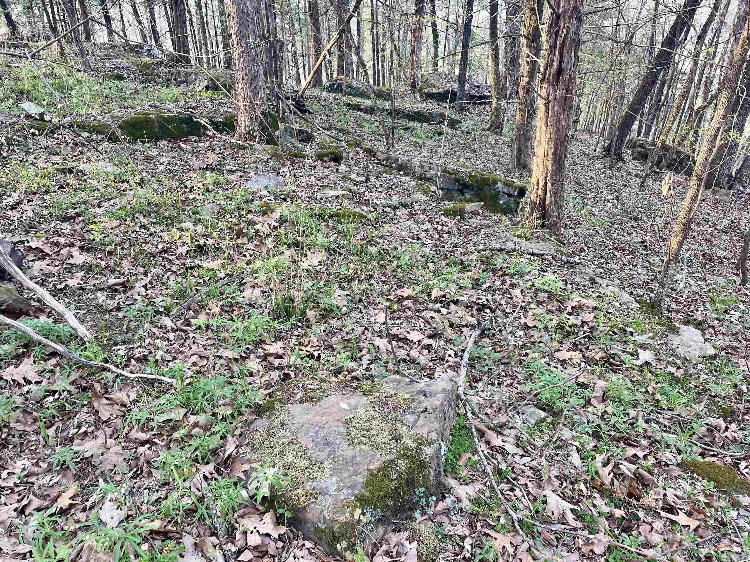 000  Trout Way  Judsonia, AR