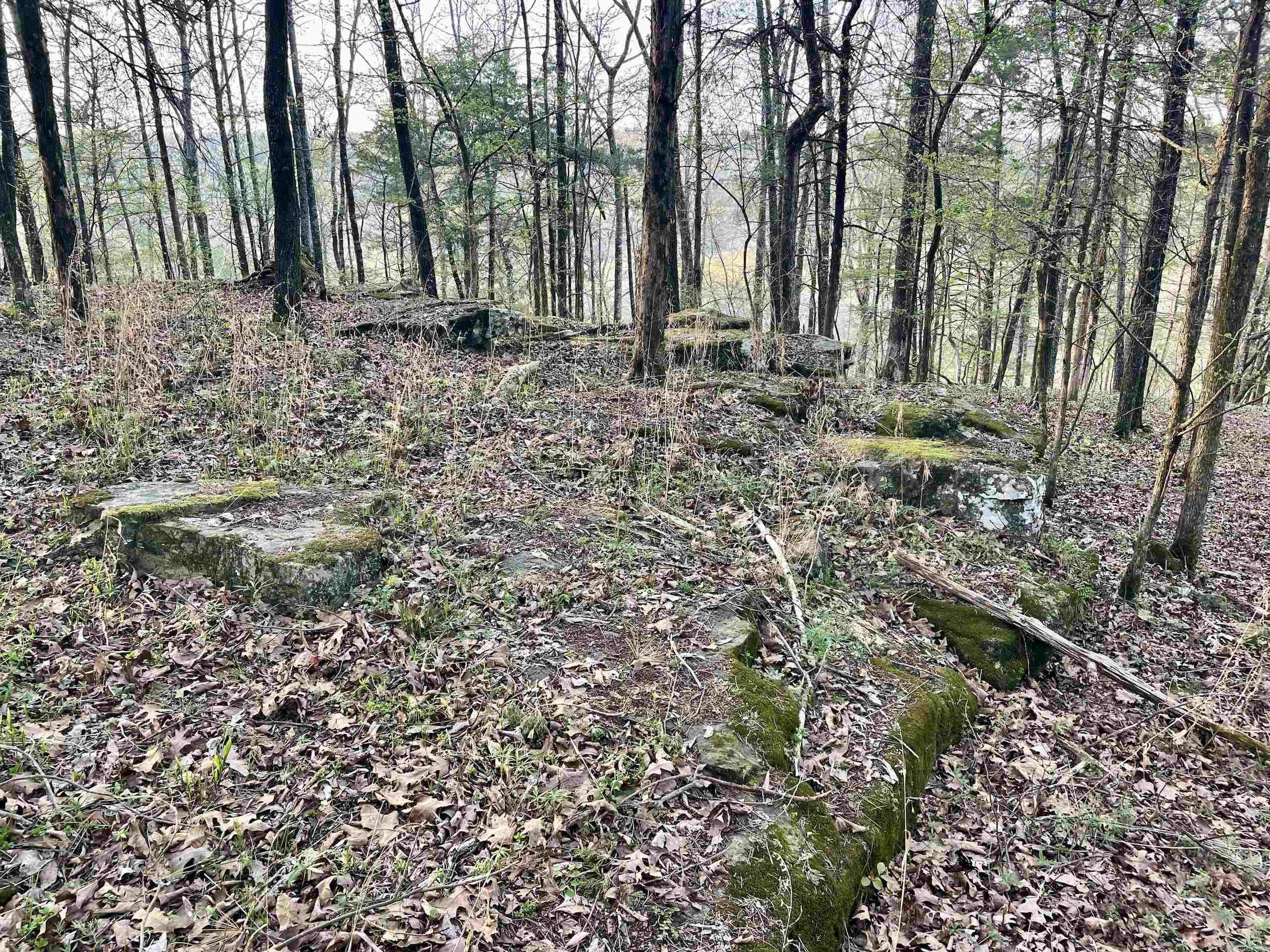 000  Trout Way  Judsonia, AR