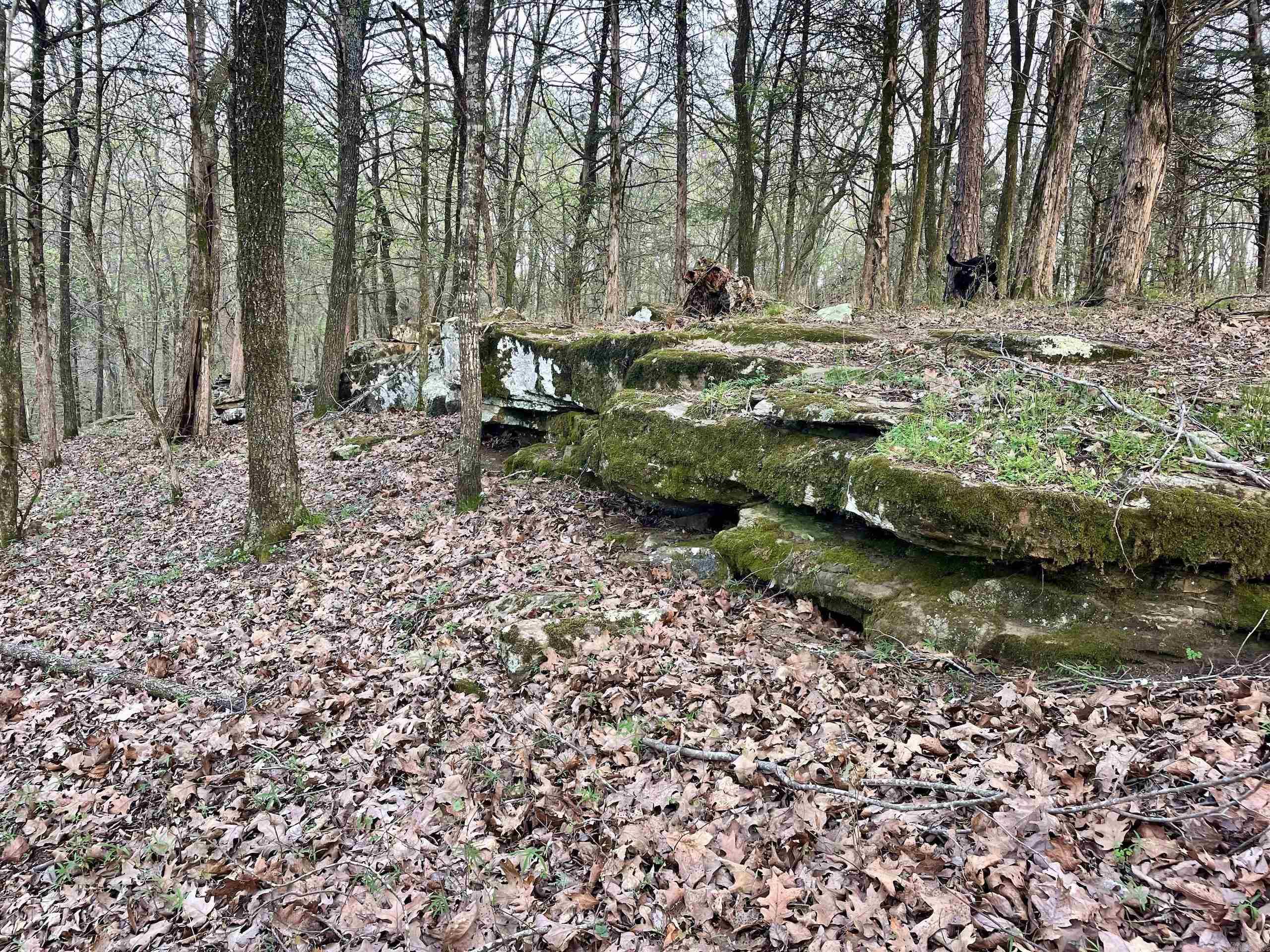 000  Trout Way  Judsonia, AR