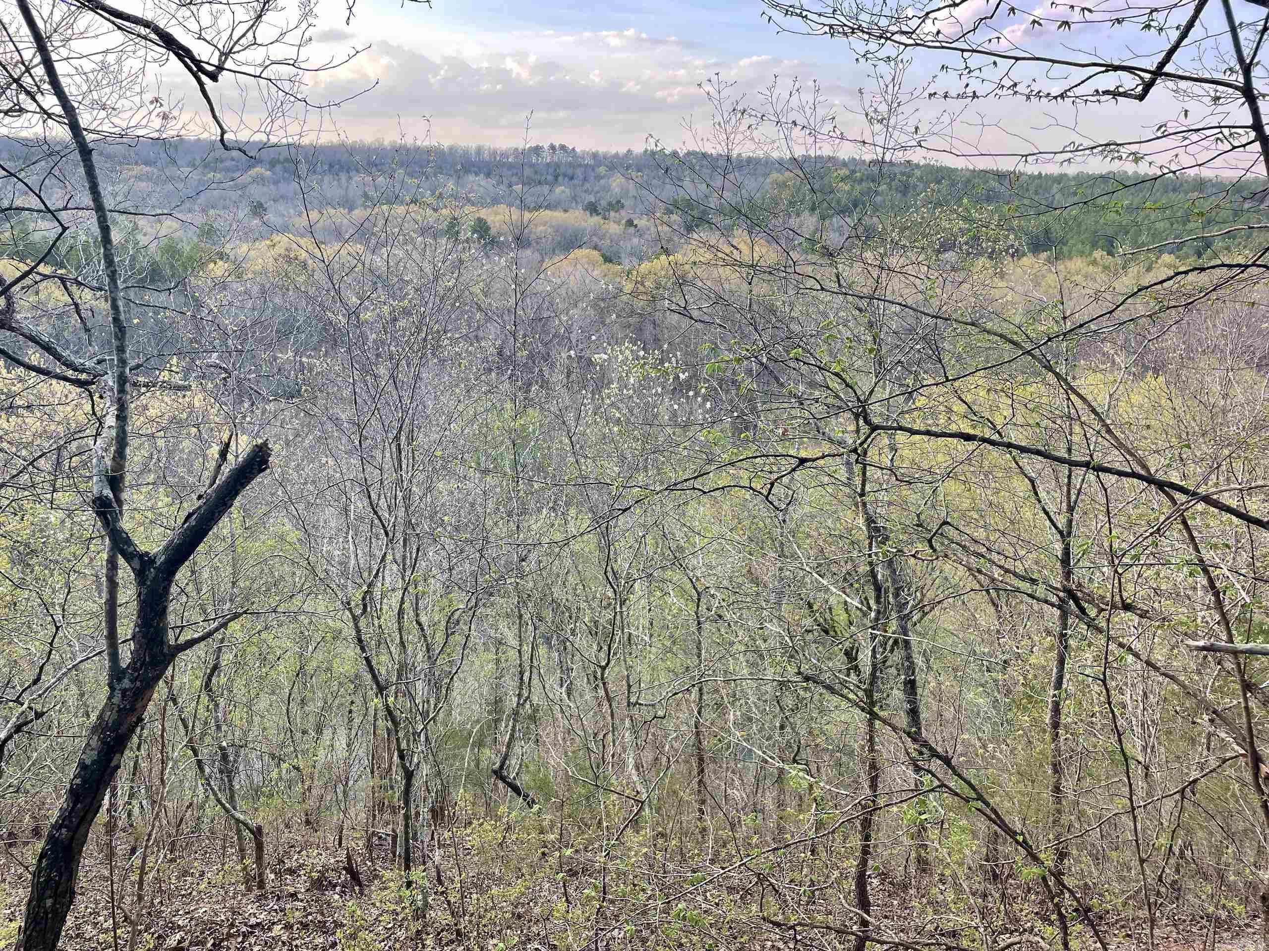 000  Trout Way  Judsonia, AR