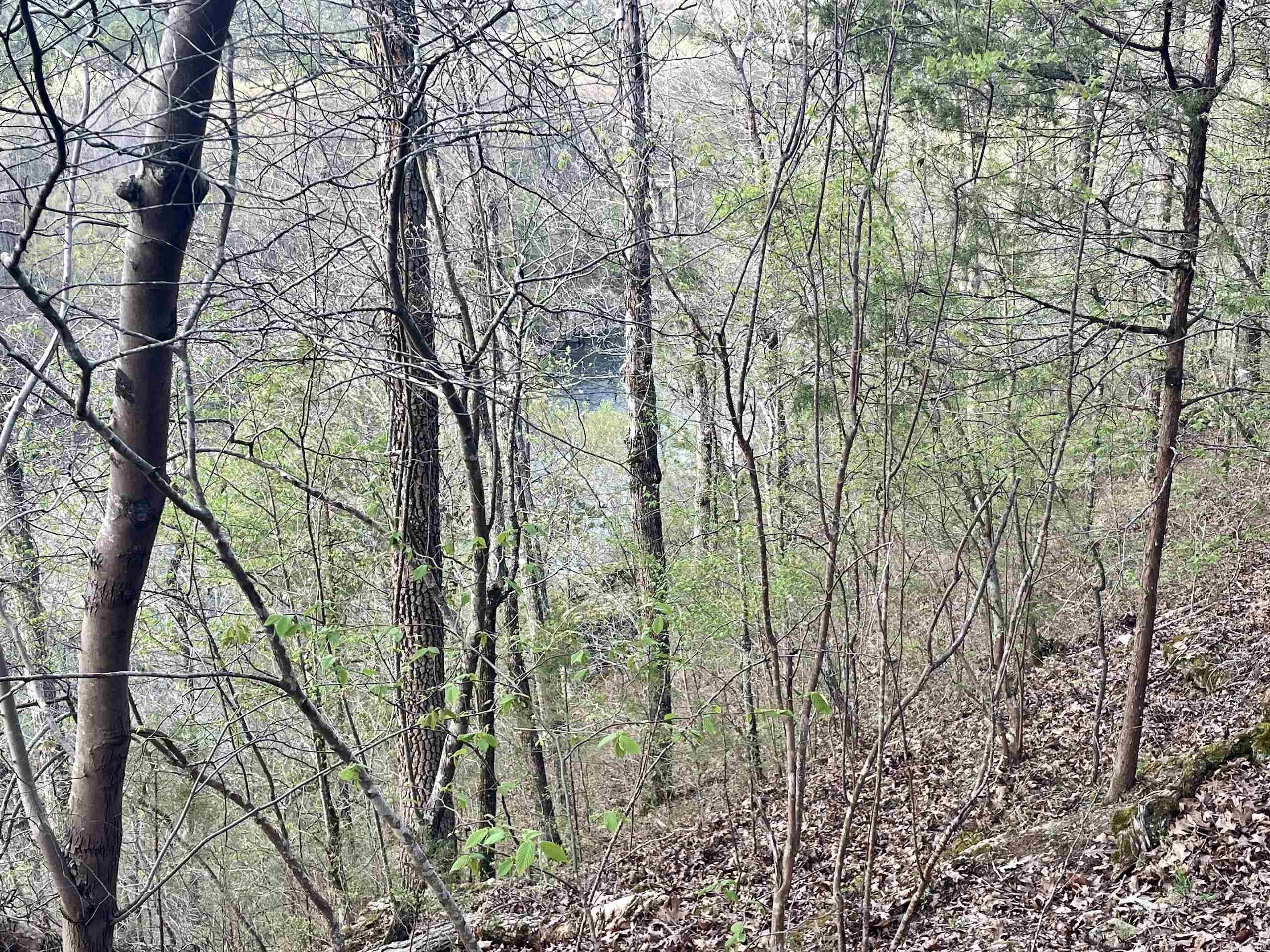 000  Trout Way  Judsonia, AR