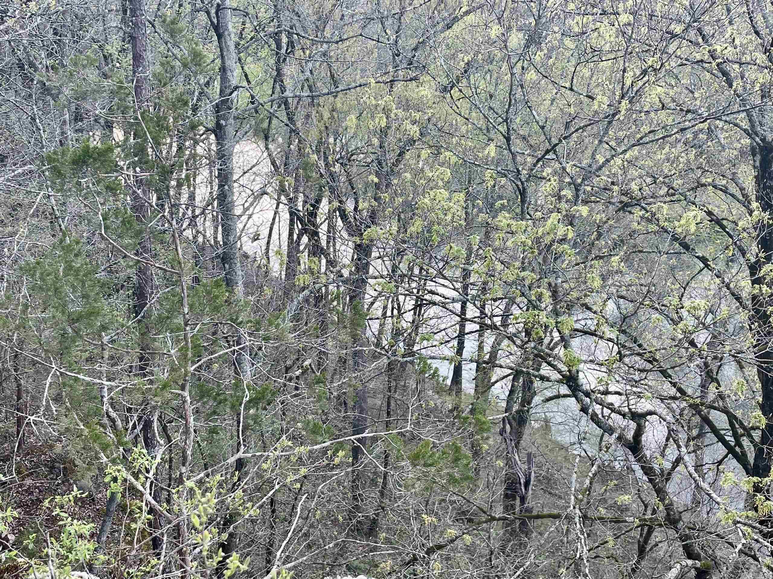 000  Trout Way  Judsonia, AR