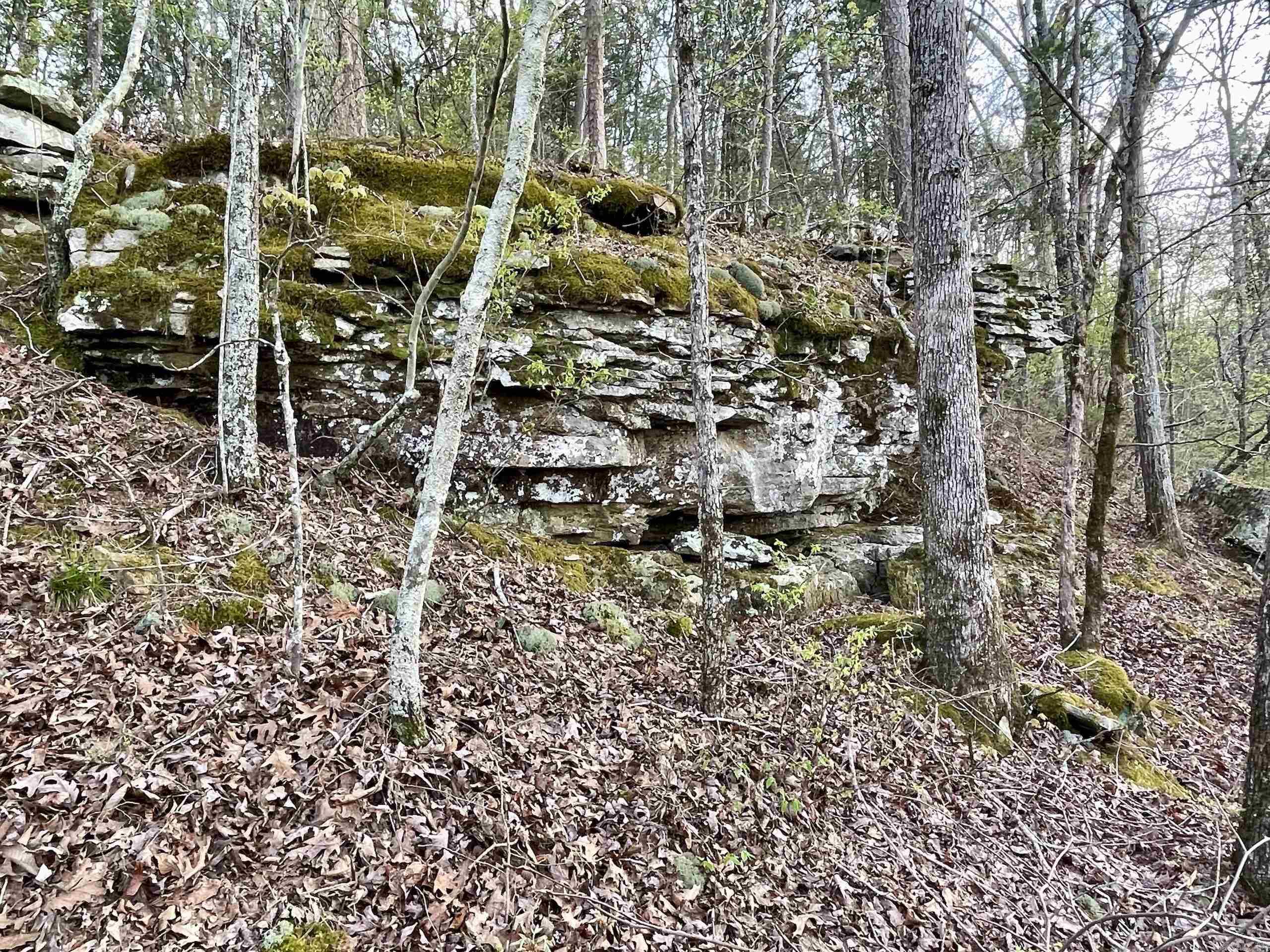 000  Trout Way  Judsonia, AR