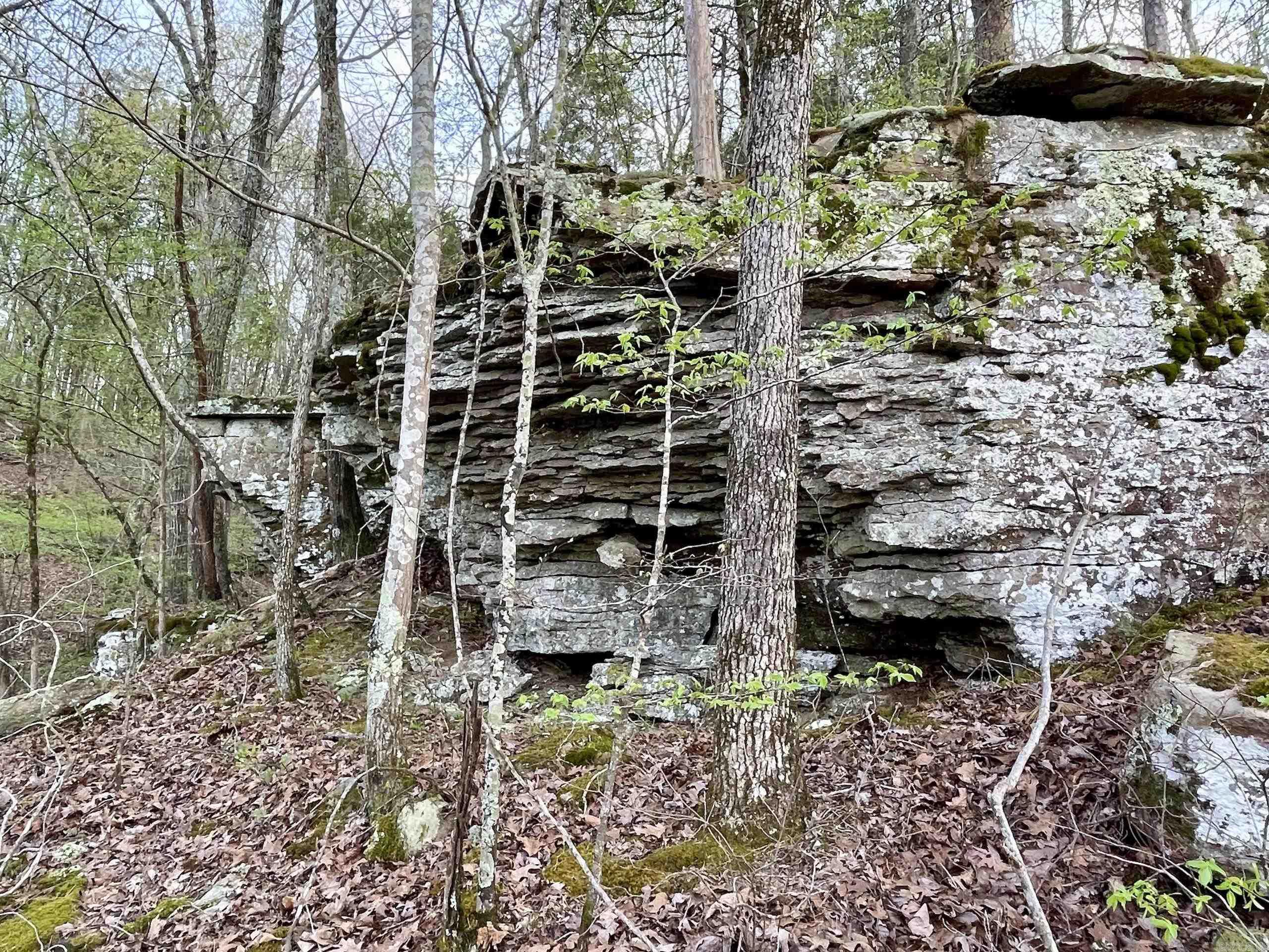 000  Trout Way  Judsonia, AR