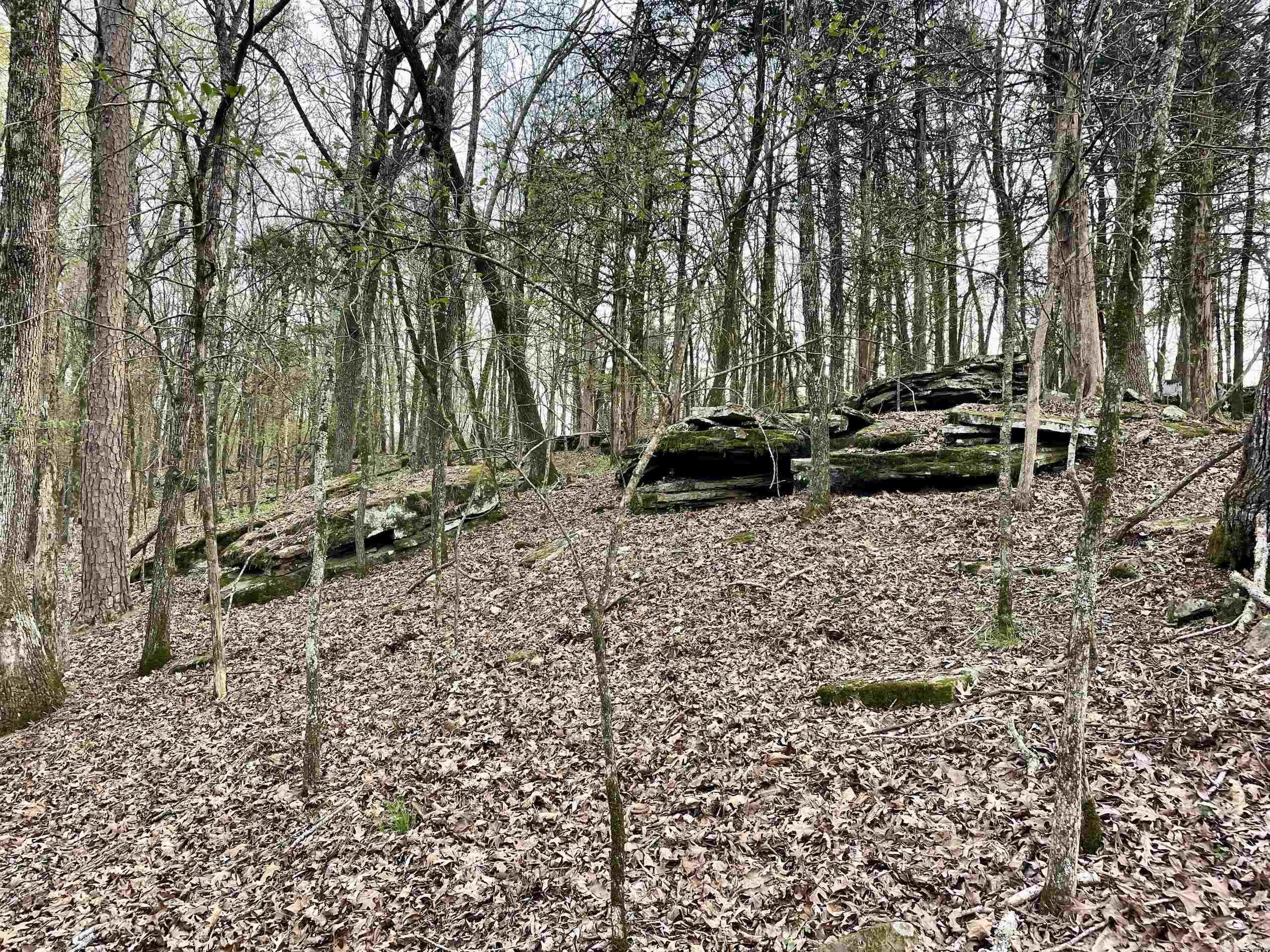000  Trout Way  Judsonia, AR