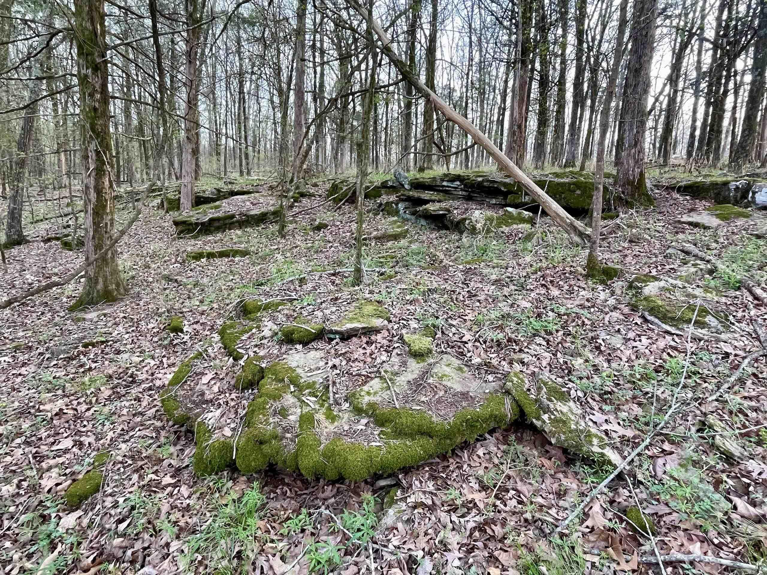 000  Trout Way  Judsonia, AR