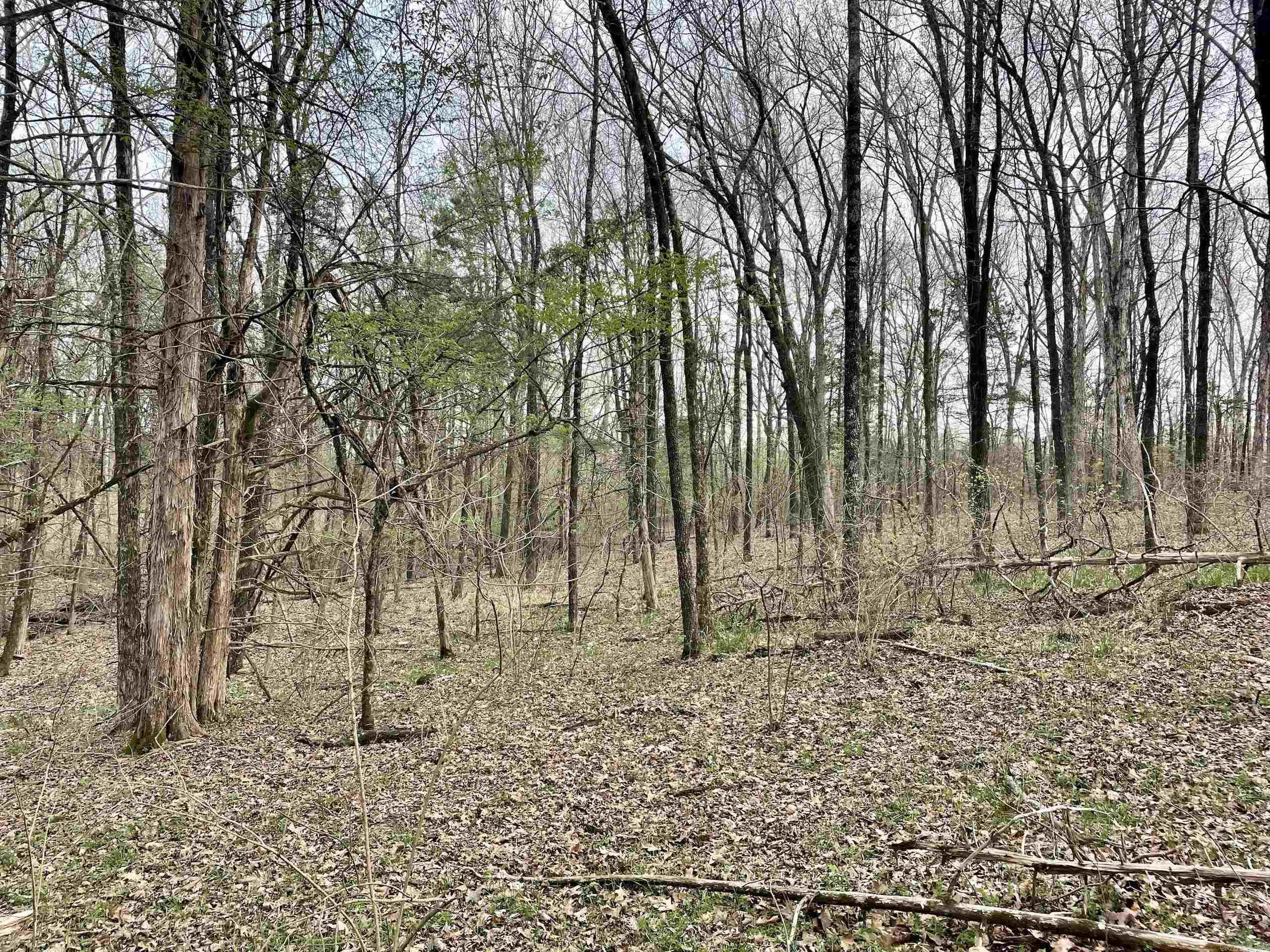 000  Trout Way  Judsonia, AR