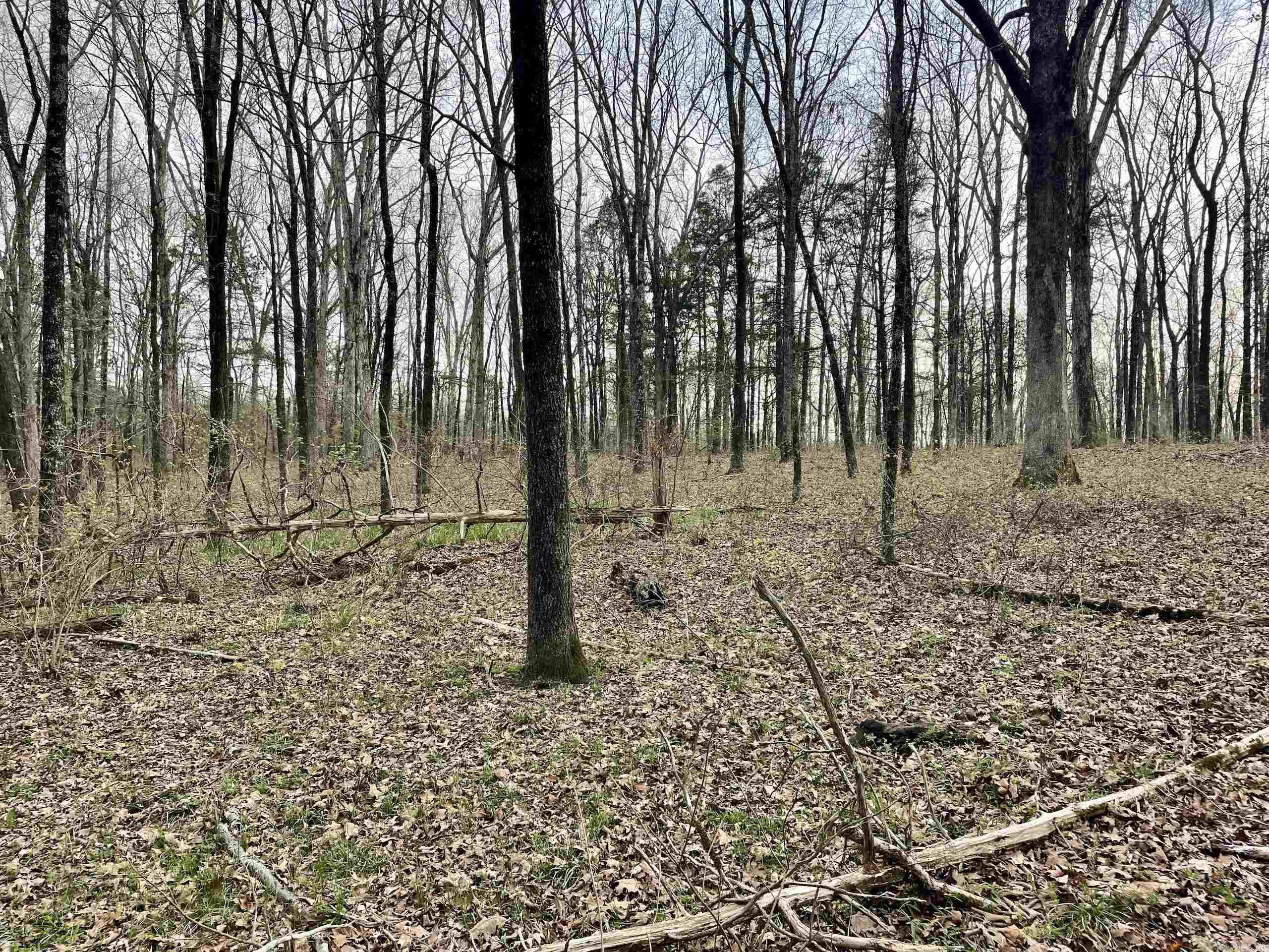 000  Trout Way  Judsonia, AR