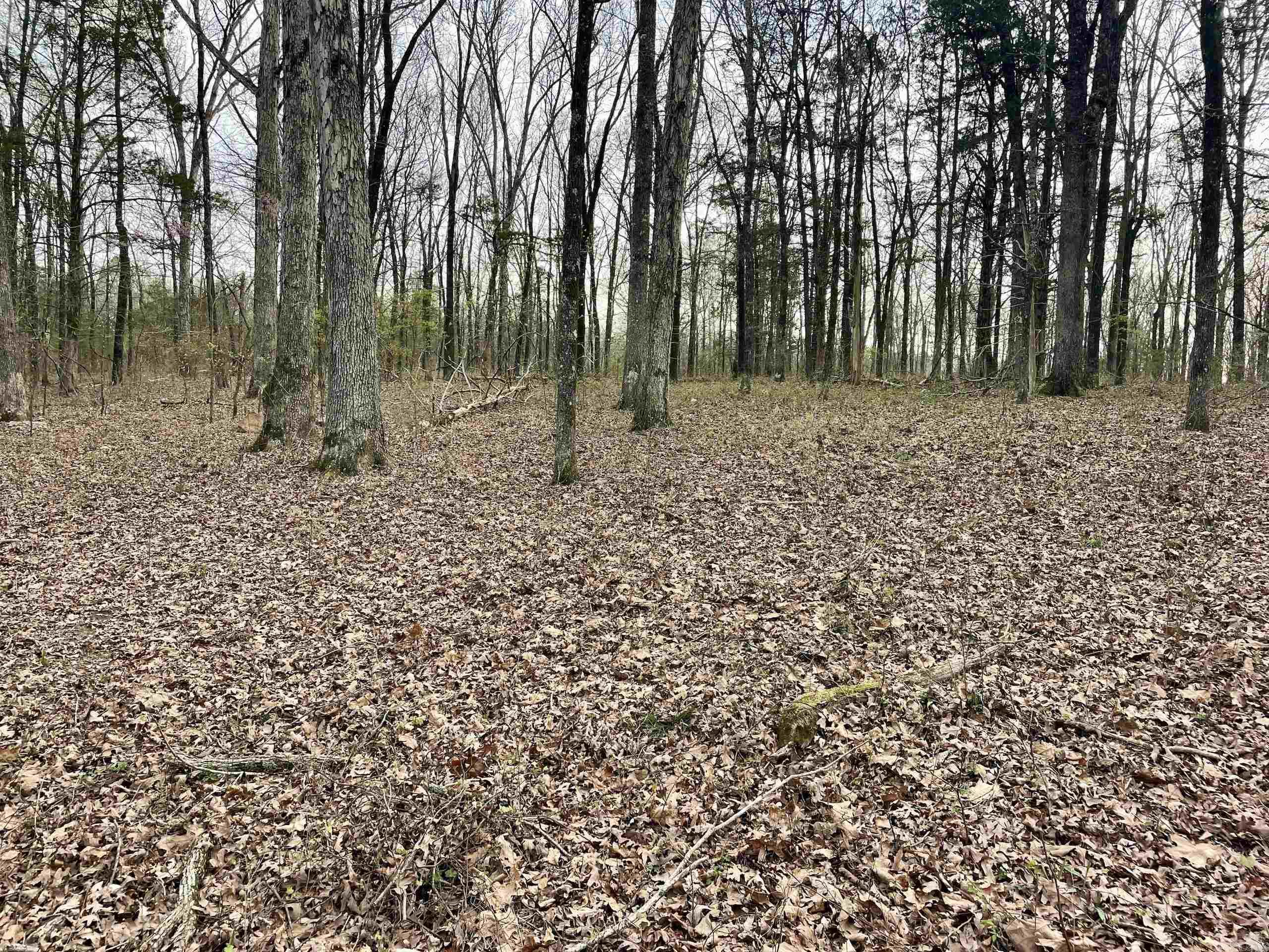 000  Trout Way  Judsonia, AR
