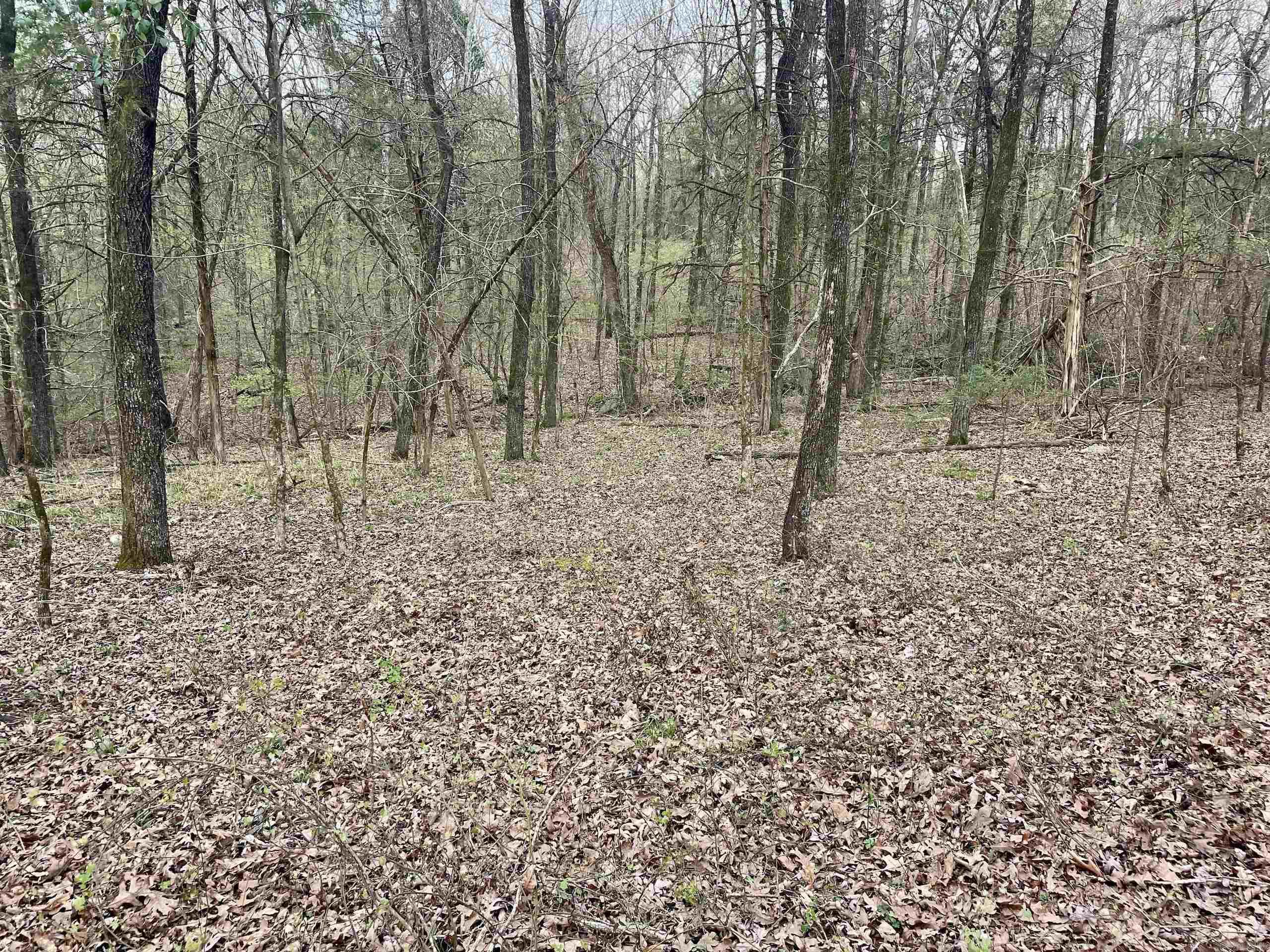 000  Trout Way  Judsonia, AR