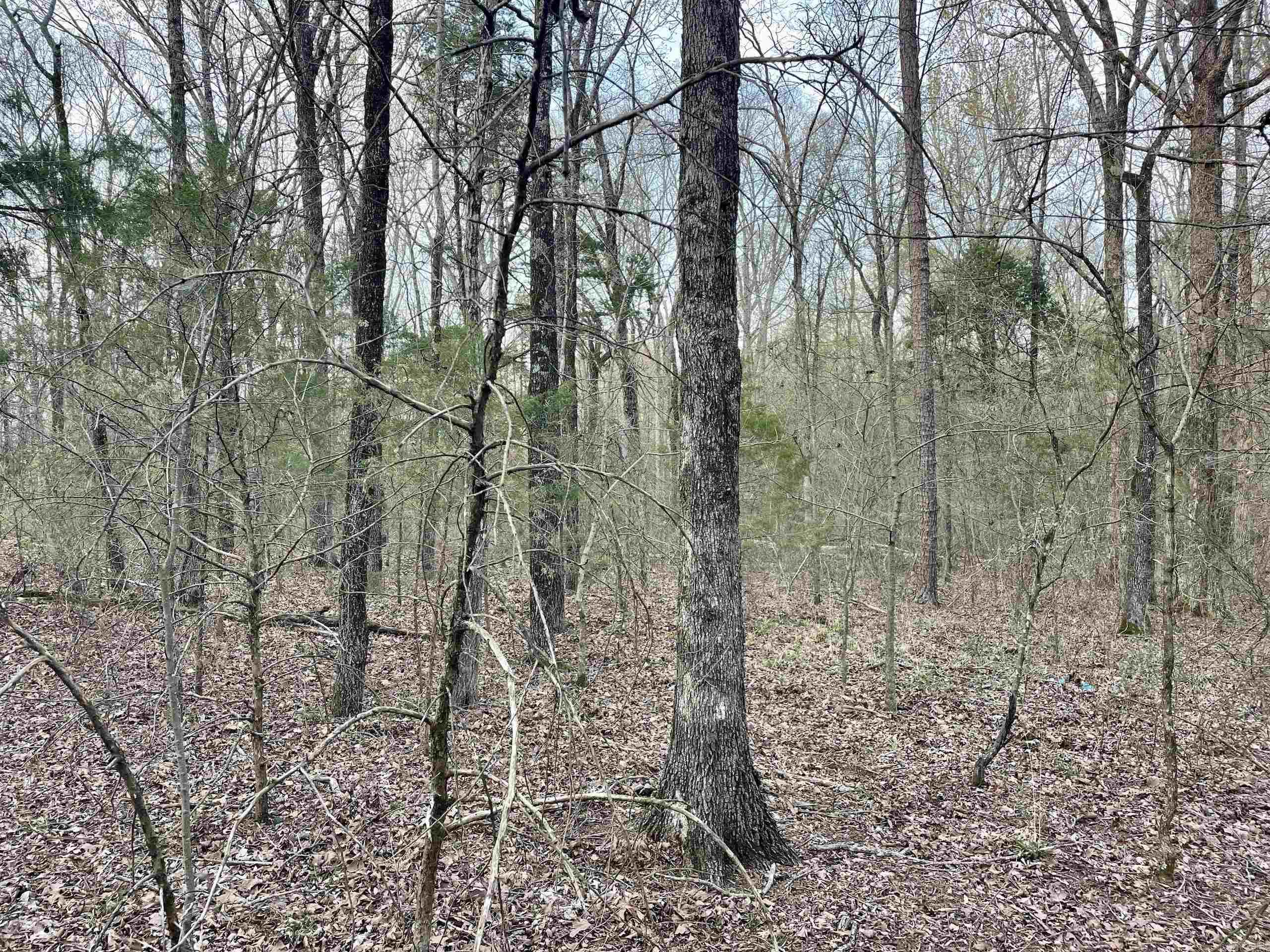000  Trout Way  Judsonia, AR