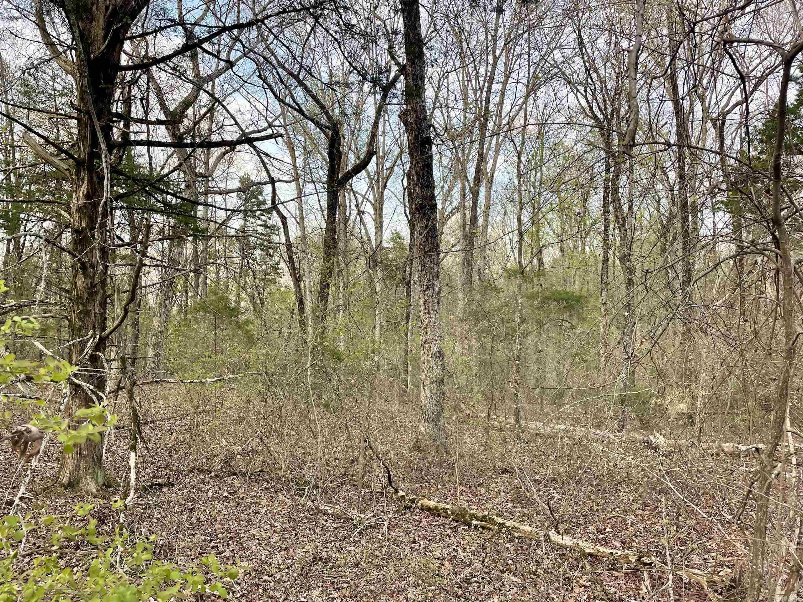000  Trout Way  Judsonia, AR