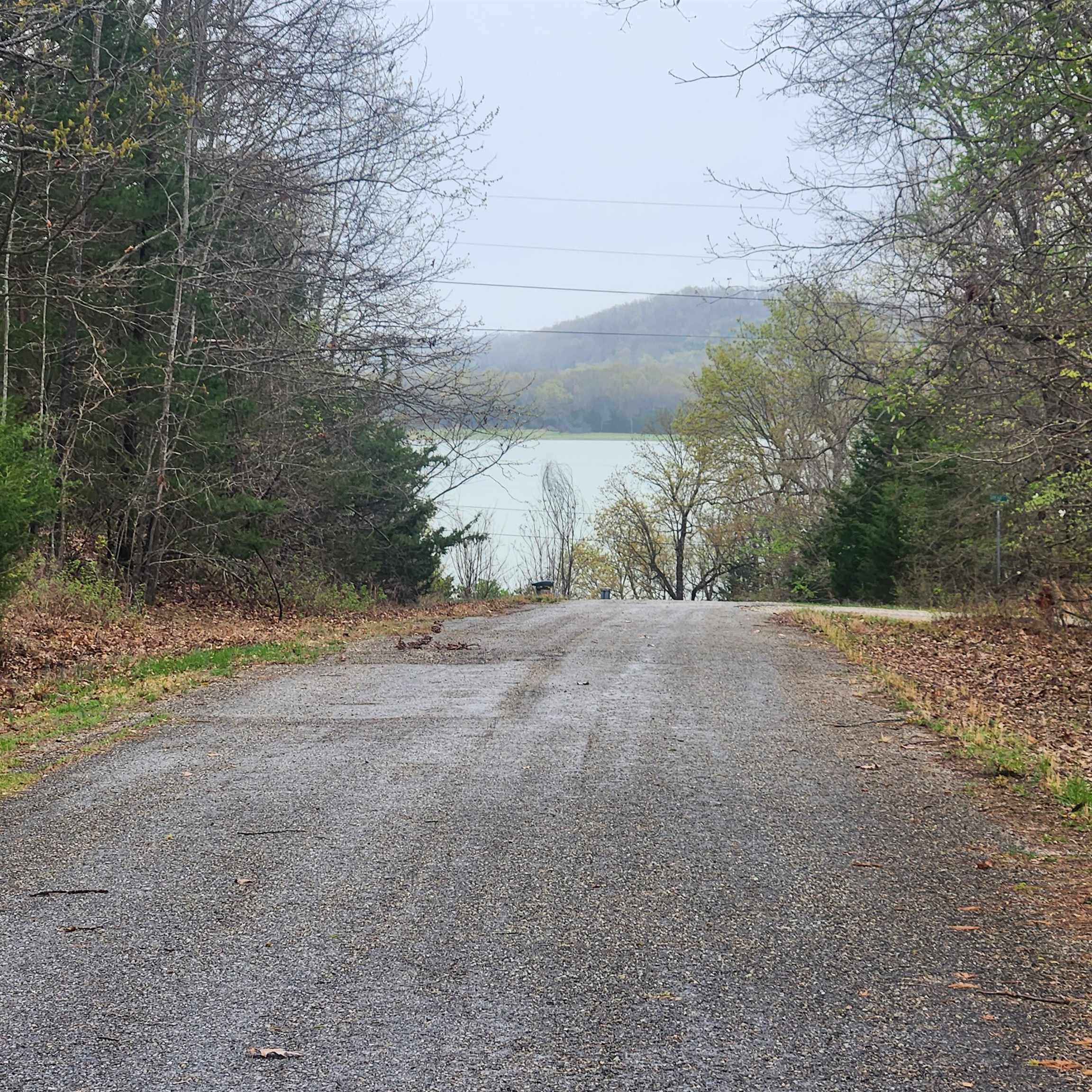 2503  Crescent  Horseshoe Bend, AR