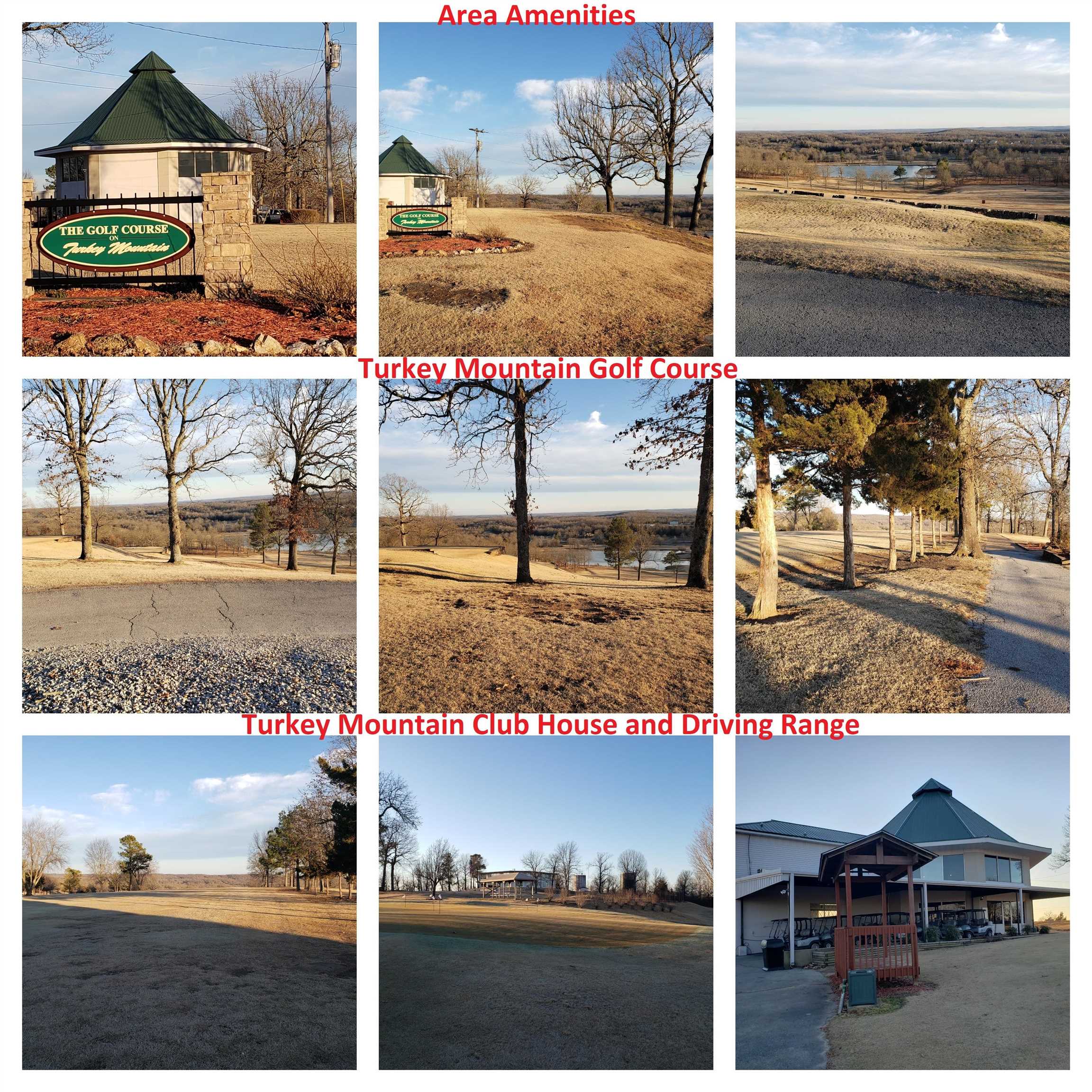 2503  Crescent  Horseshoe Bend, AR