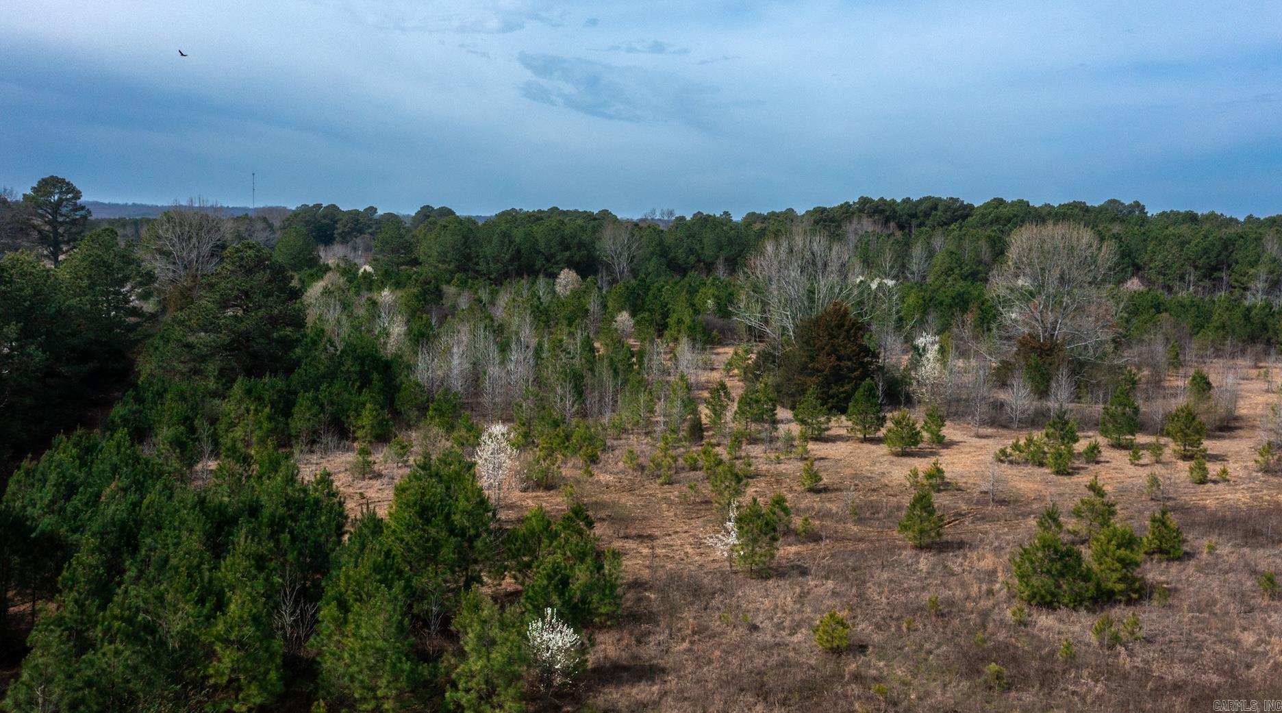 0000  Hwy 321  Beebe, AR