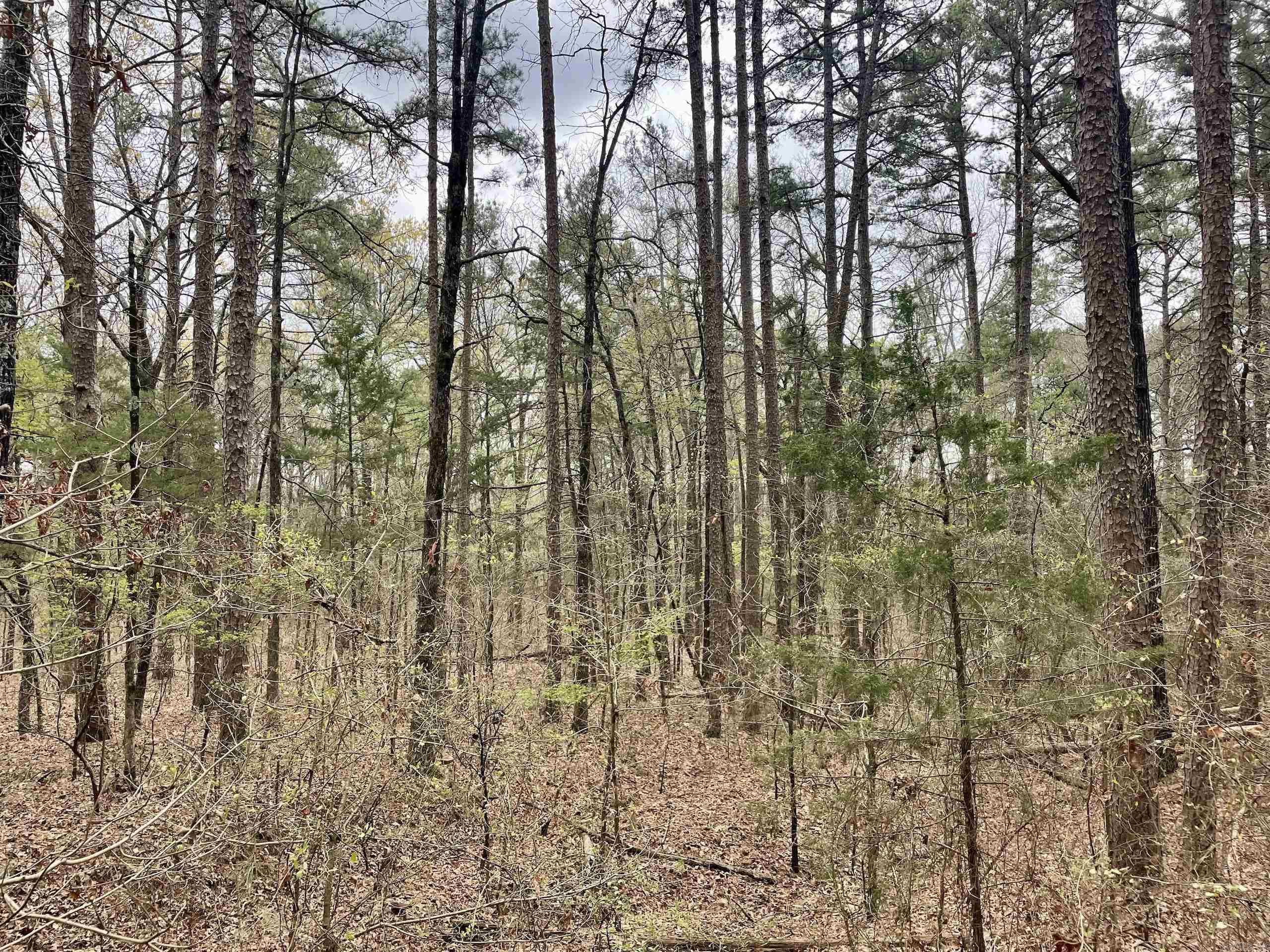 000  Bettis Mountain  Quitman, AR
