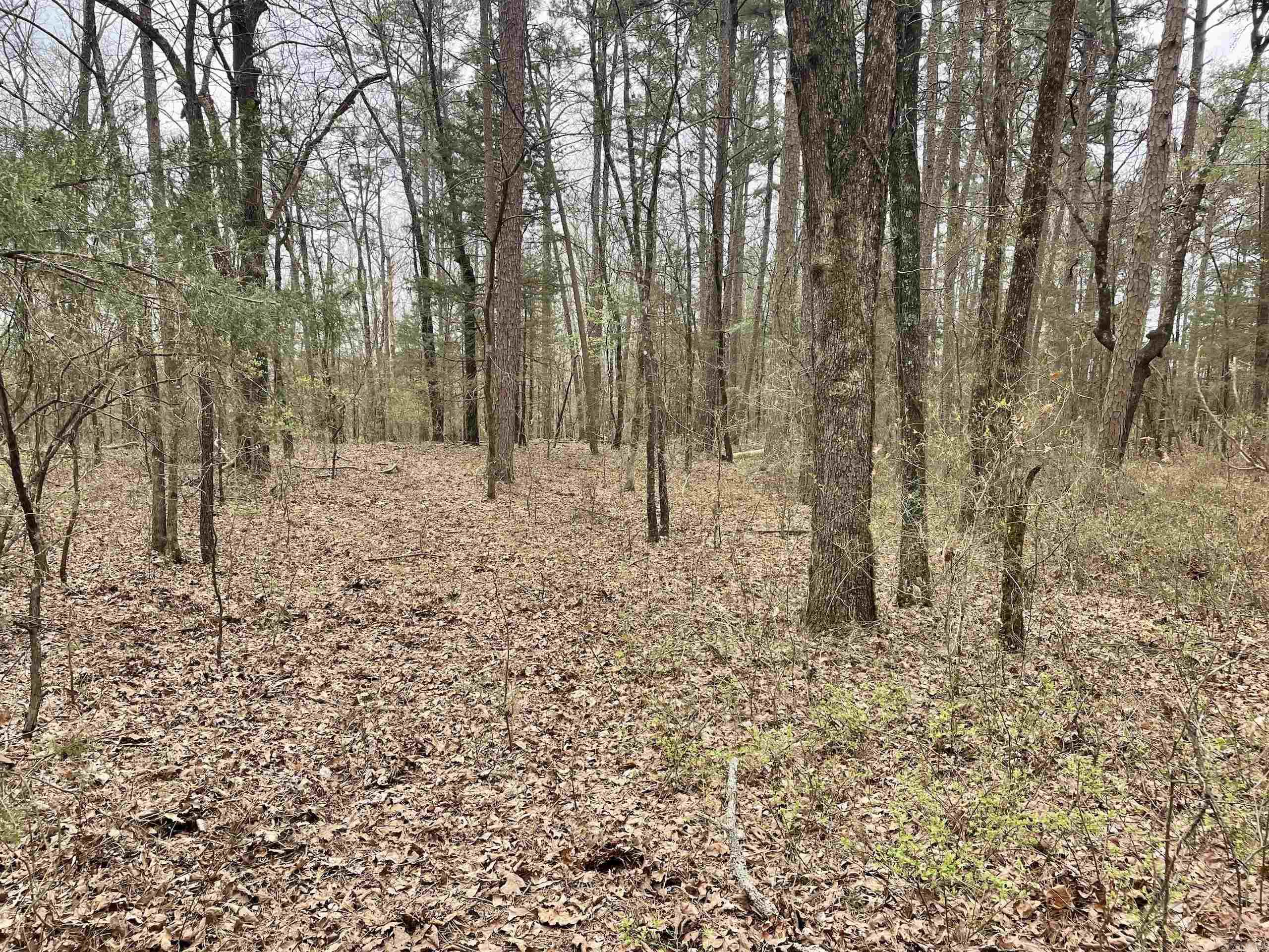 000  Bettis Mountain  Quitman, AR