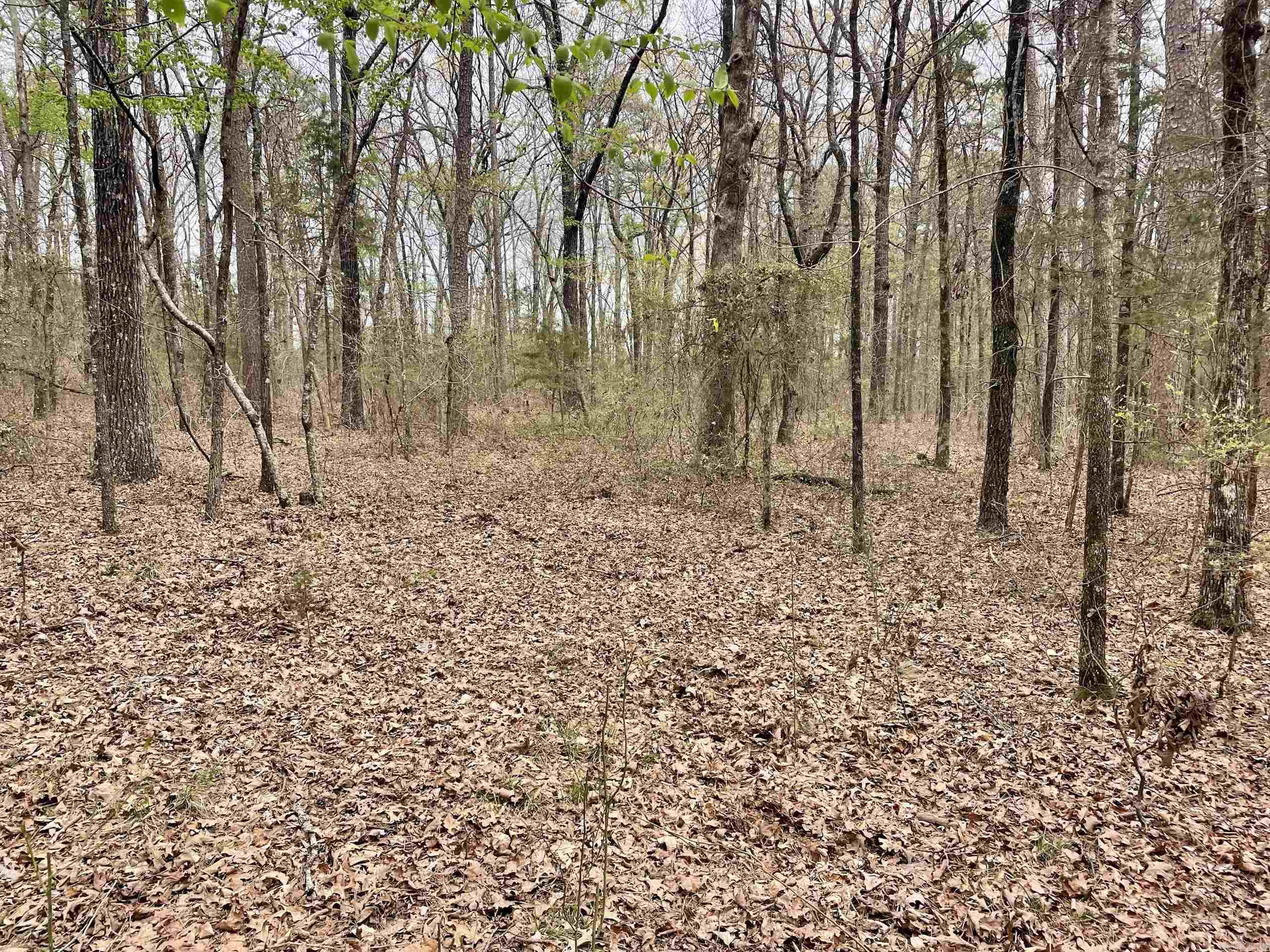 000  Bettis Mountain  Quitman, AR