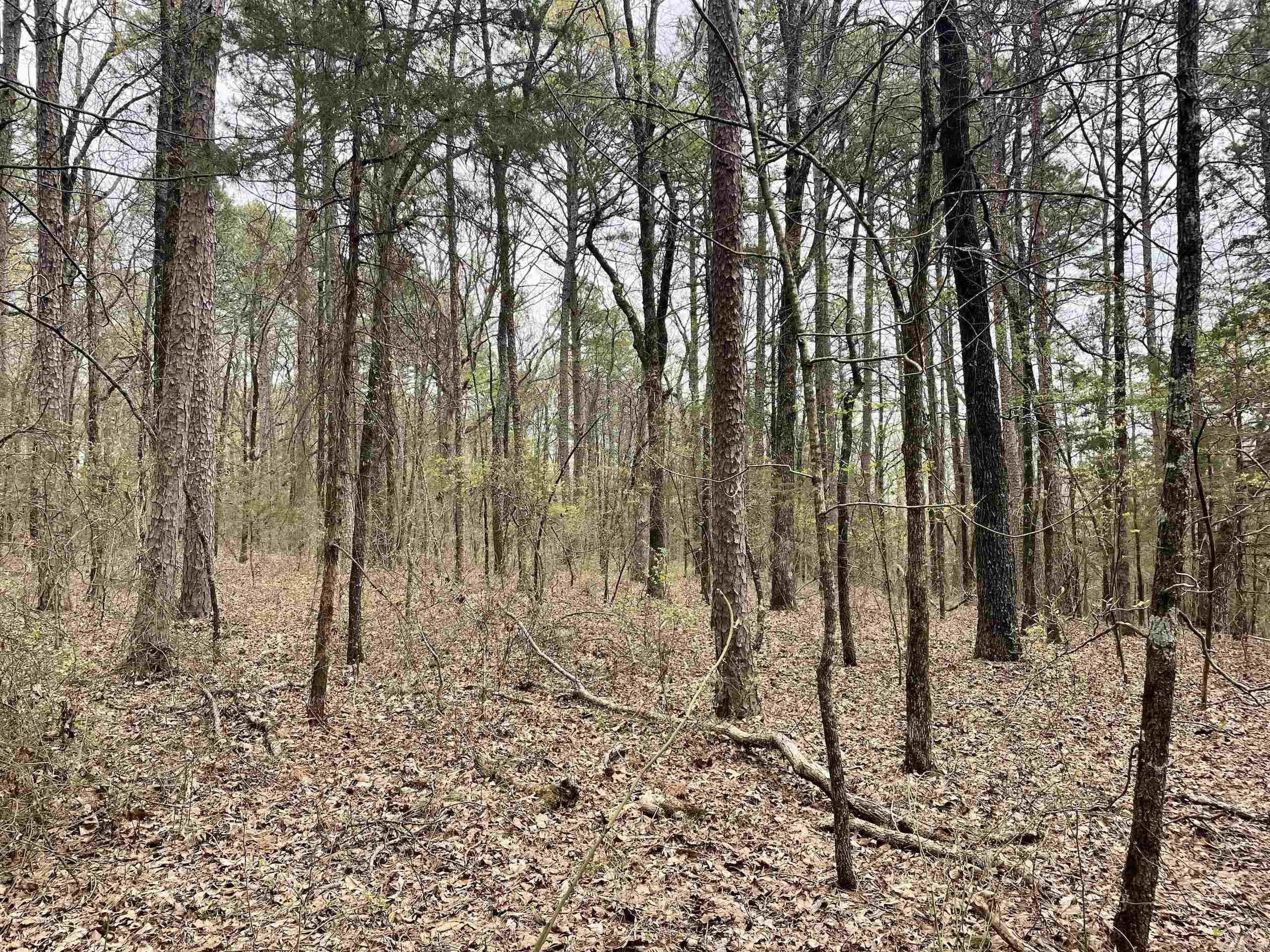 000  Bettis Mountain  Quitman, AR