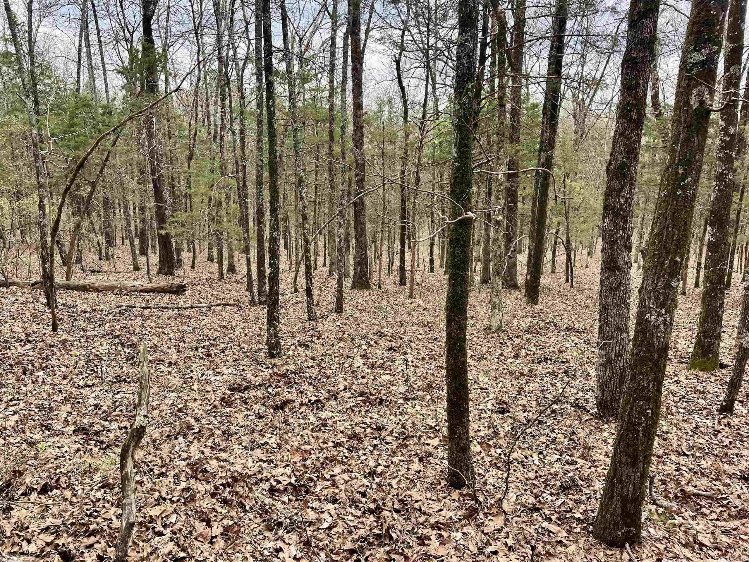 000  Bettis Mountain  Quitman, AR