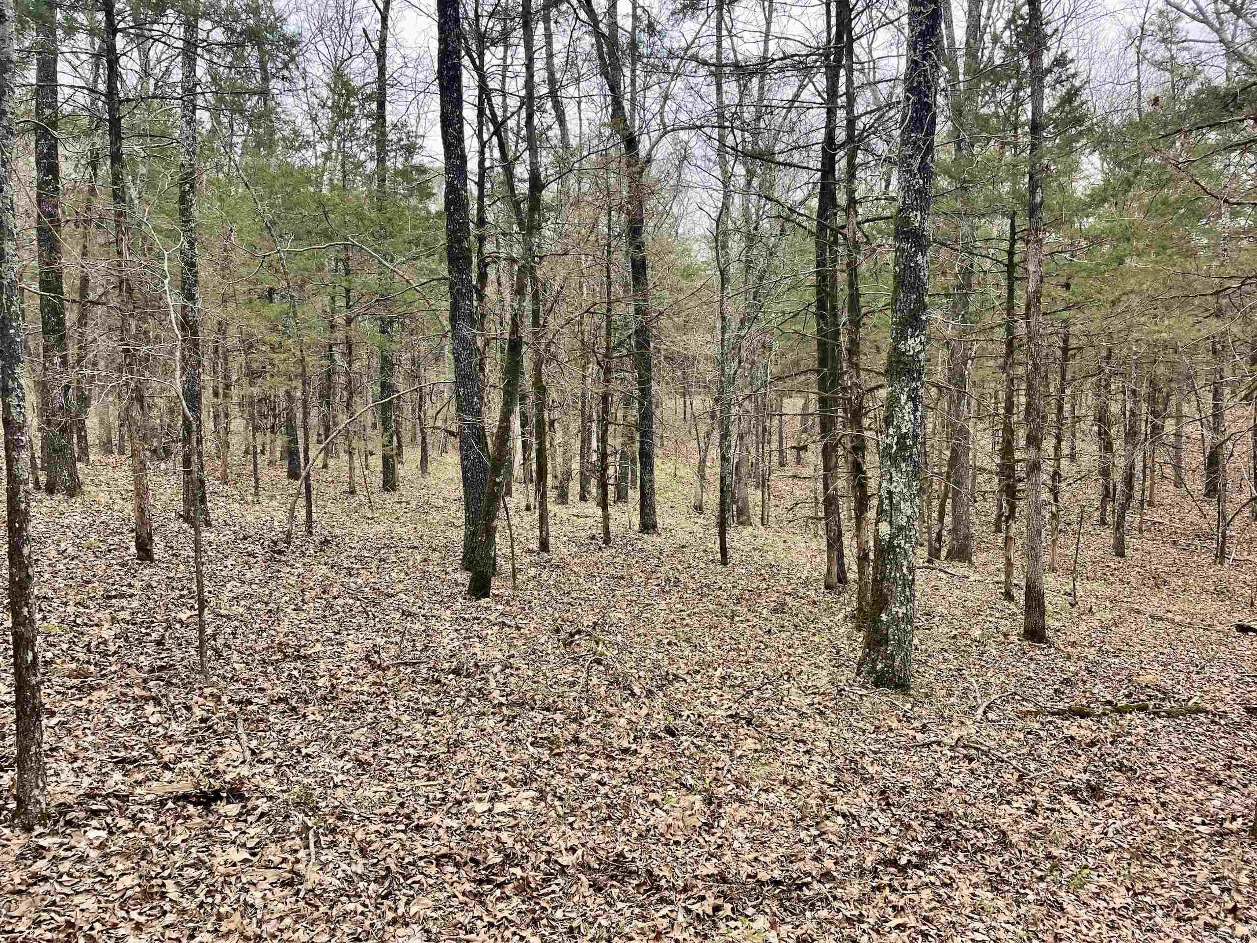 000  Bettis Mountain  Quitman, AR
