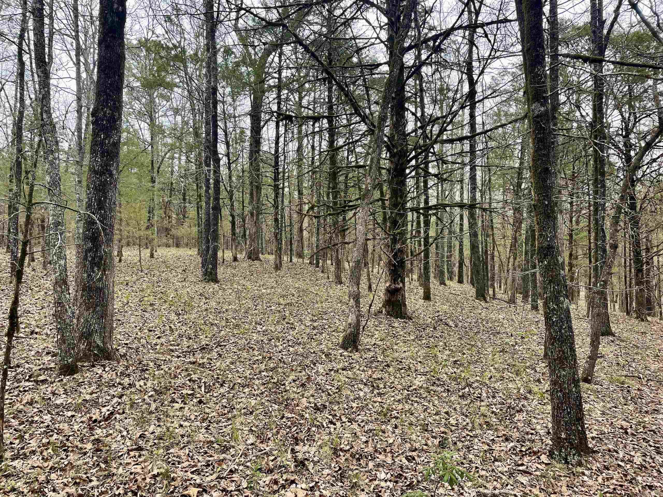 000  Bettis Mountain  Quitman, AR