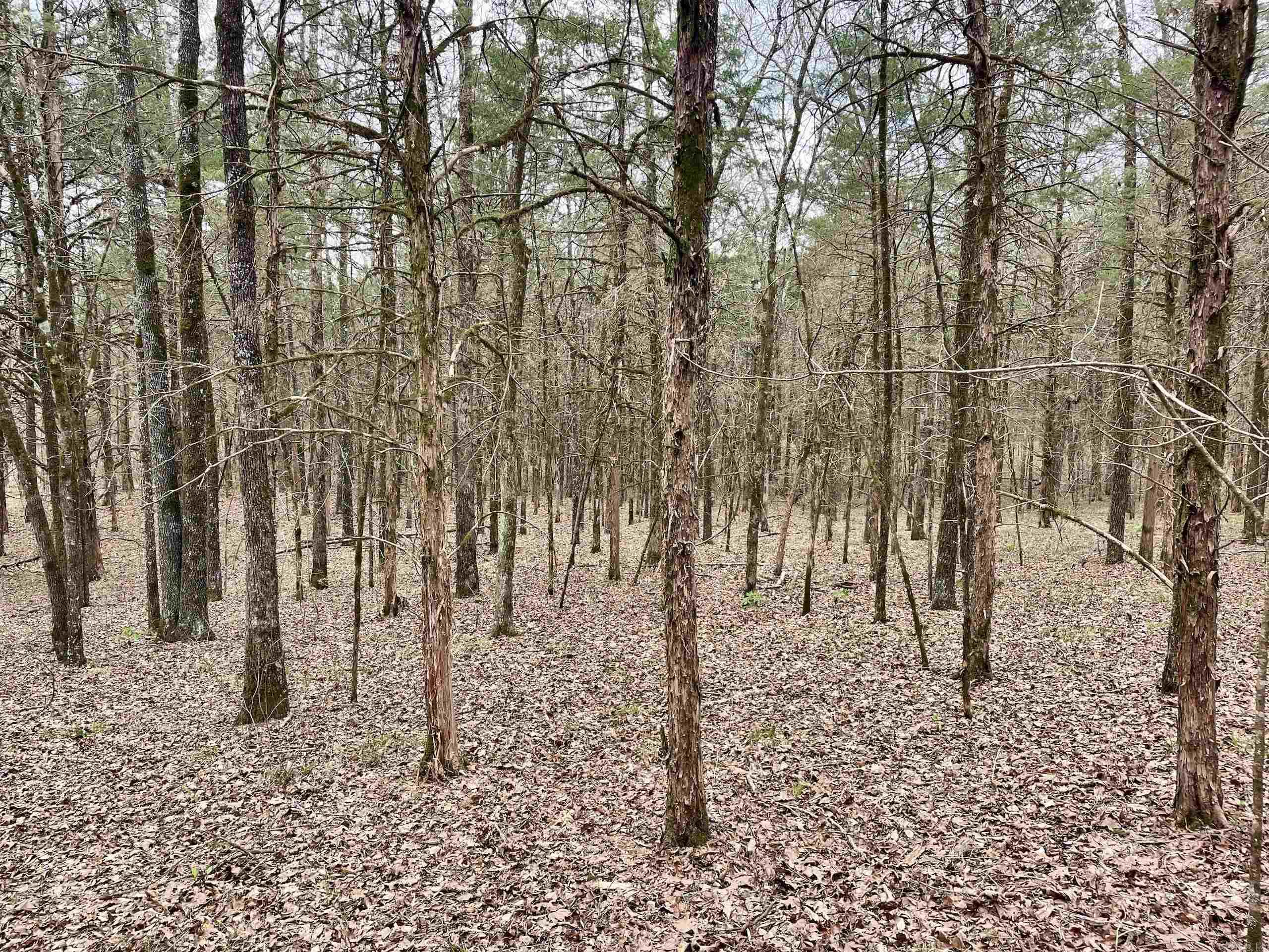 000  Bettis Mountain  Quitman, AR