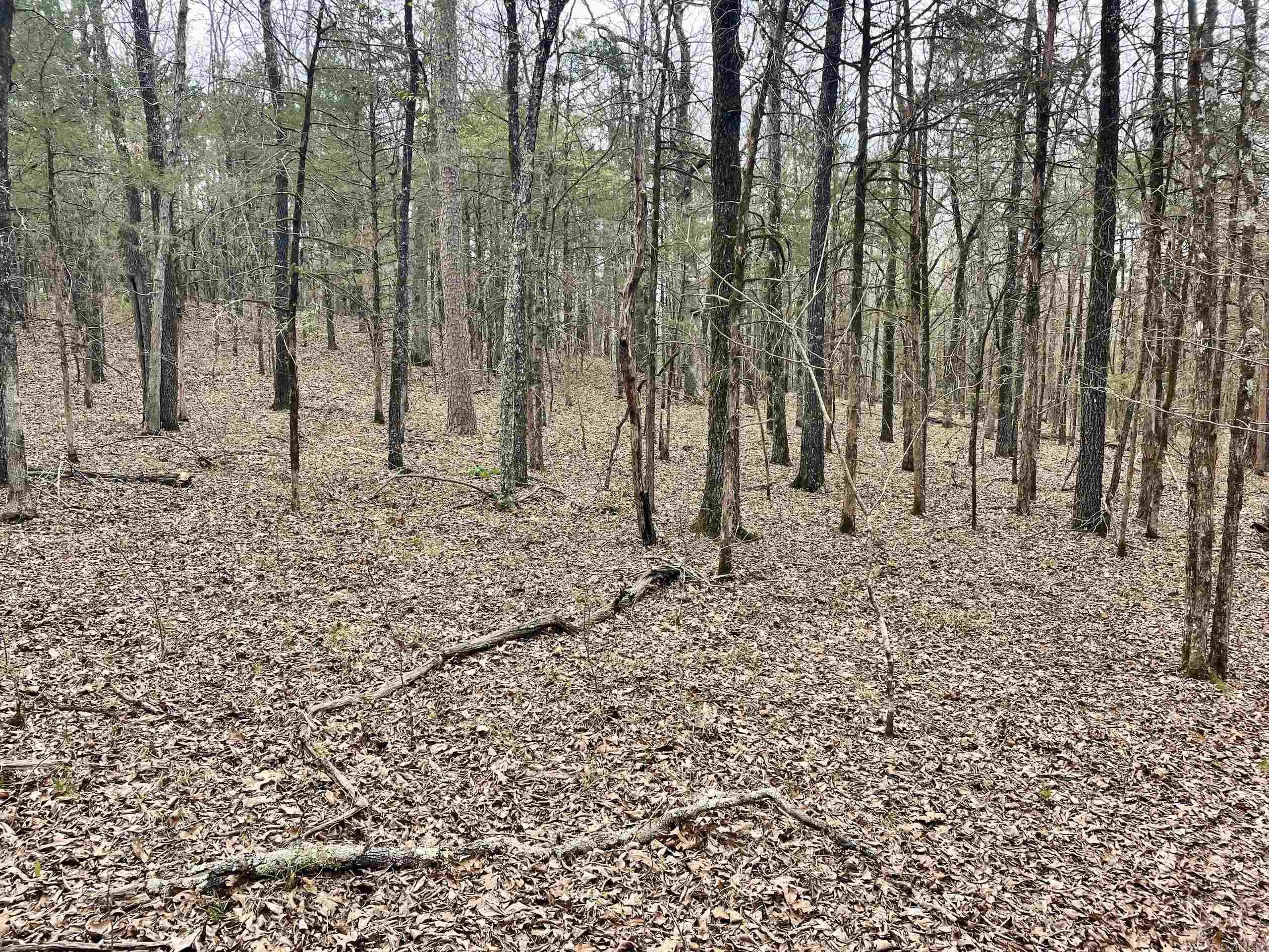 000  Bettis Mountain  Quitman, AR