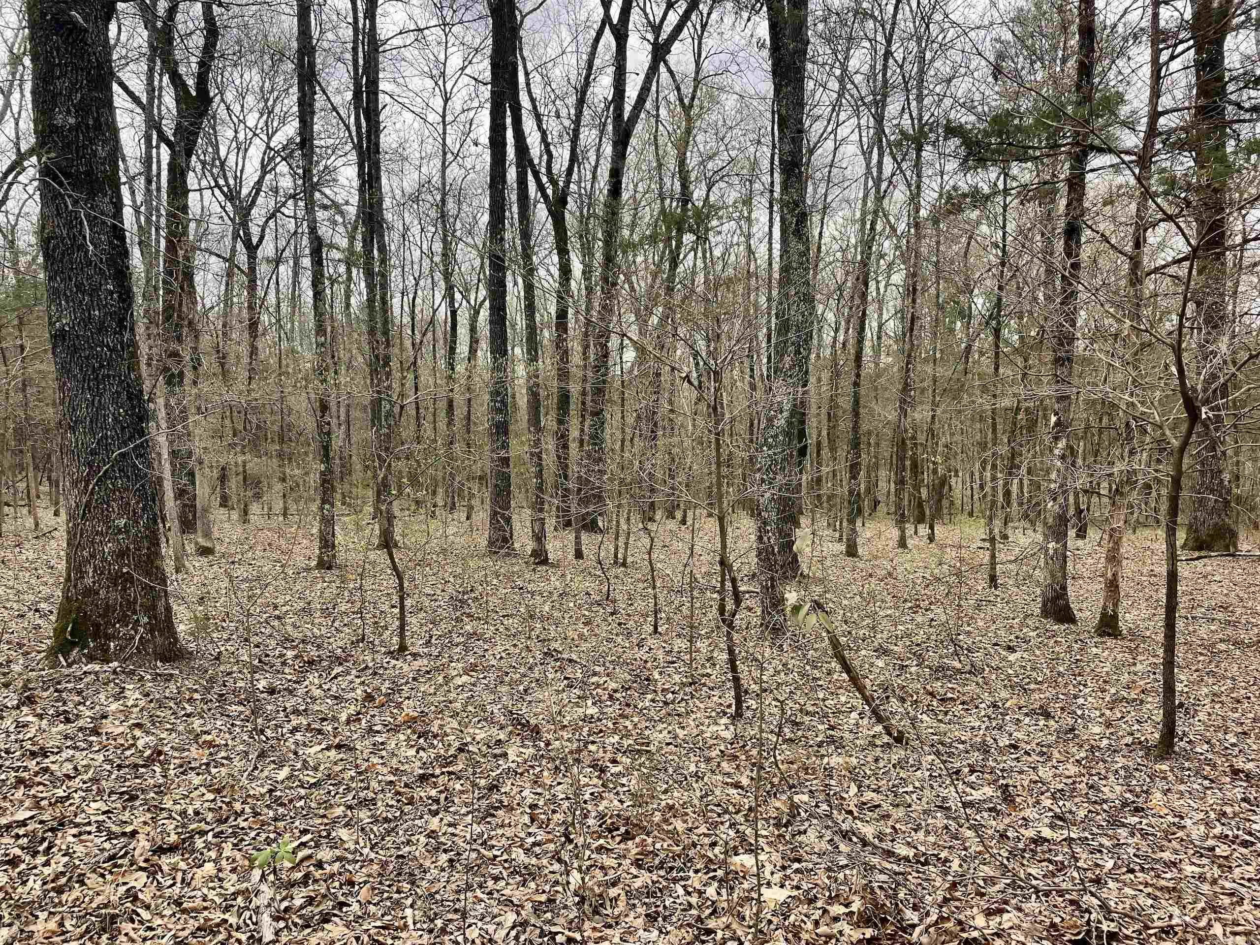 000  Bettis Mountain  Quitman, AR