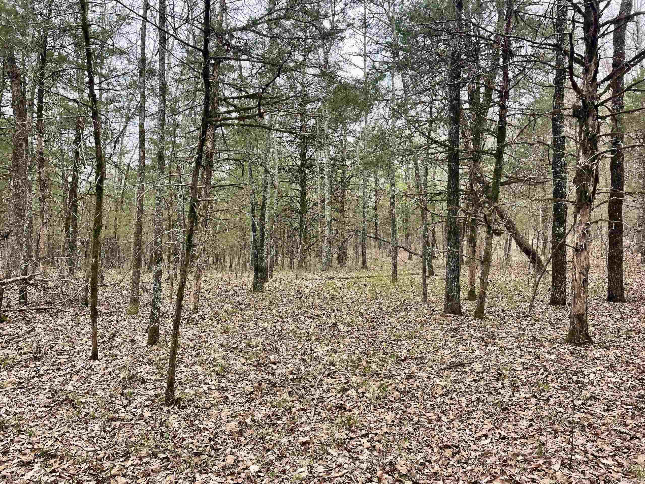 000  Bettis Mountain  Quitman, AR