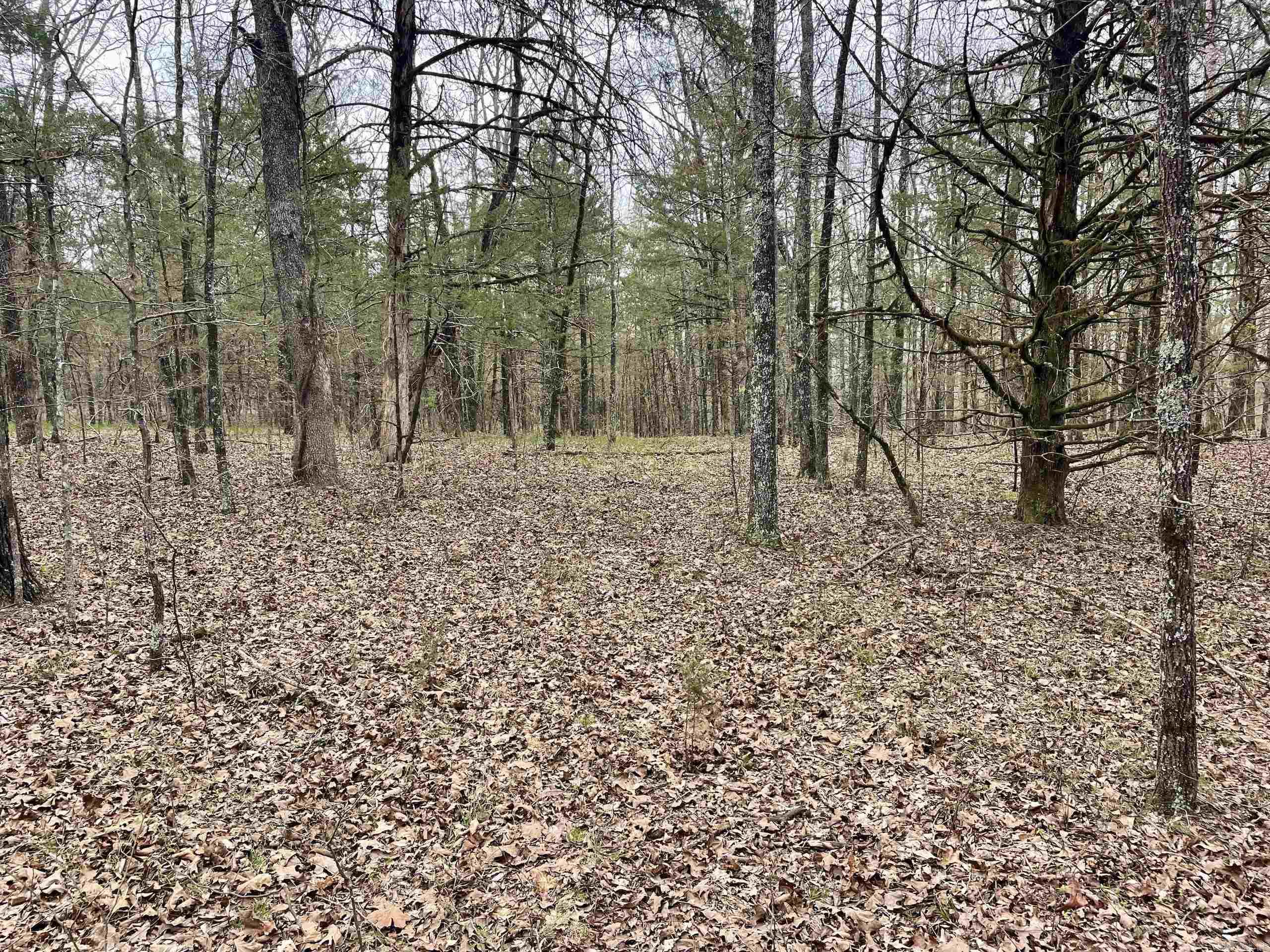 000  Bettis Mountain  Quitman, AR