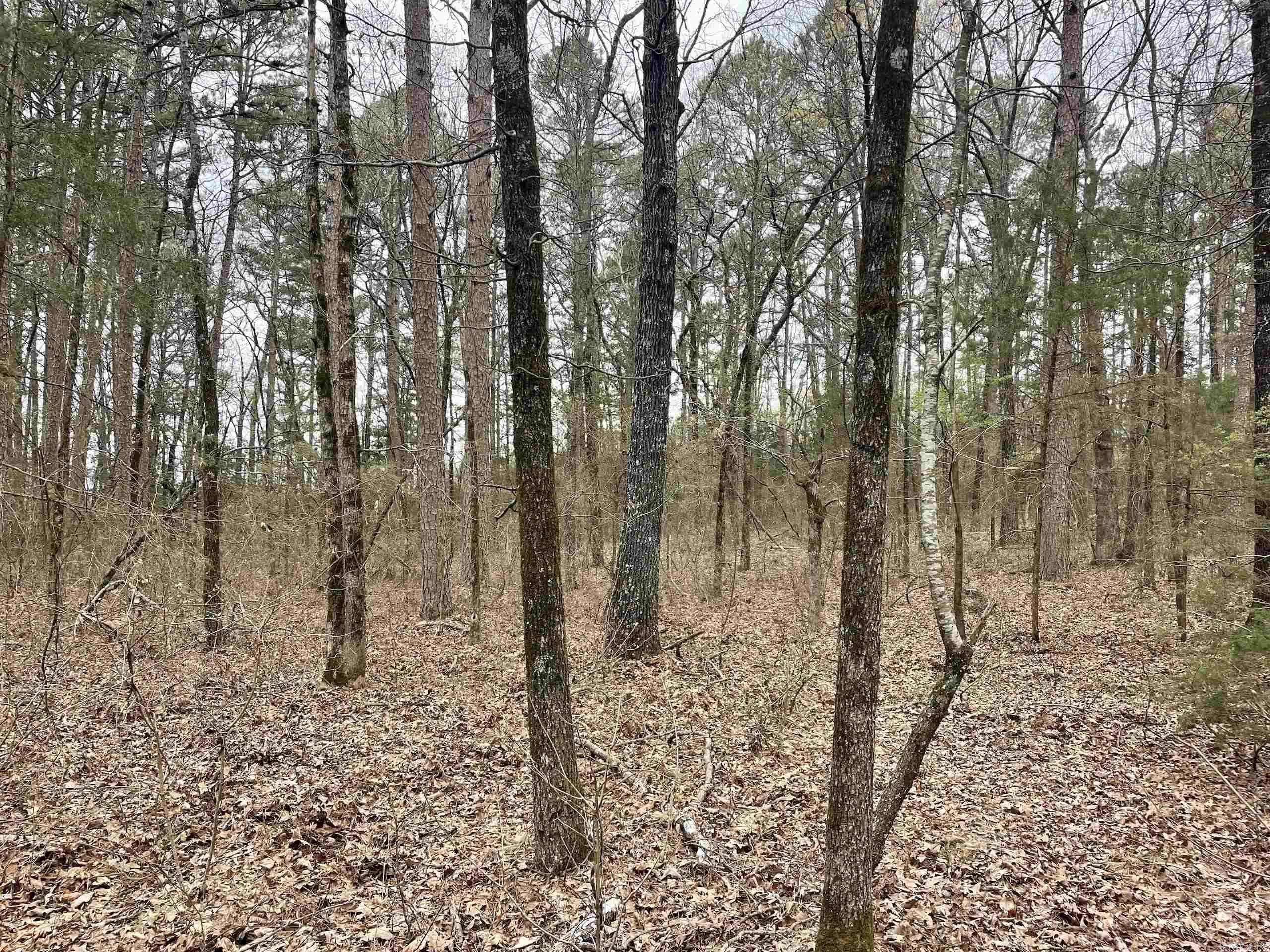 000  Bettis Mountain  Quitman, AR