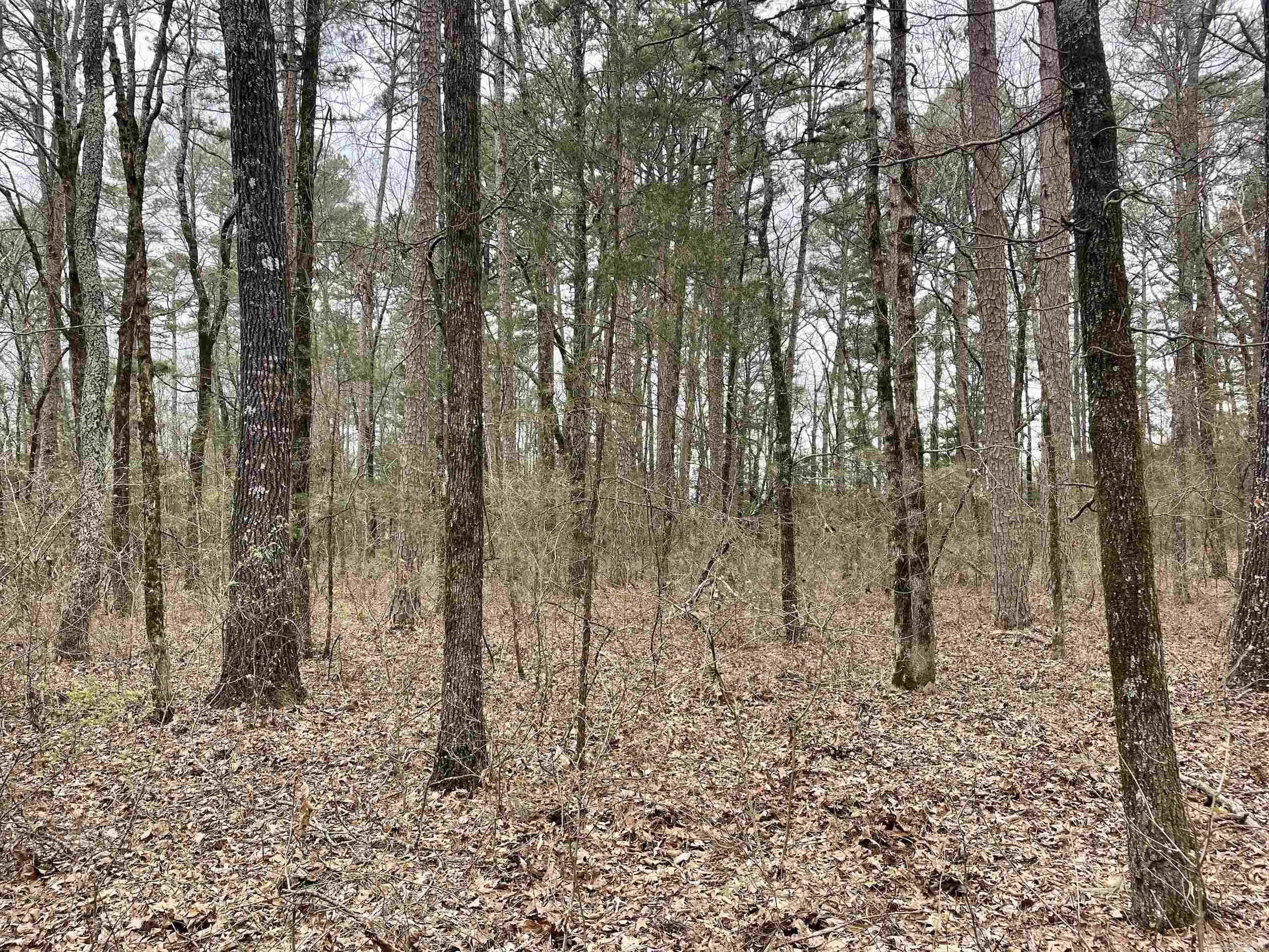 000  Bettis Mountain  Quitman, AR