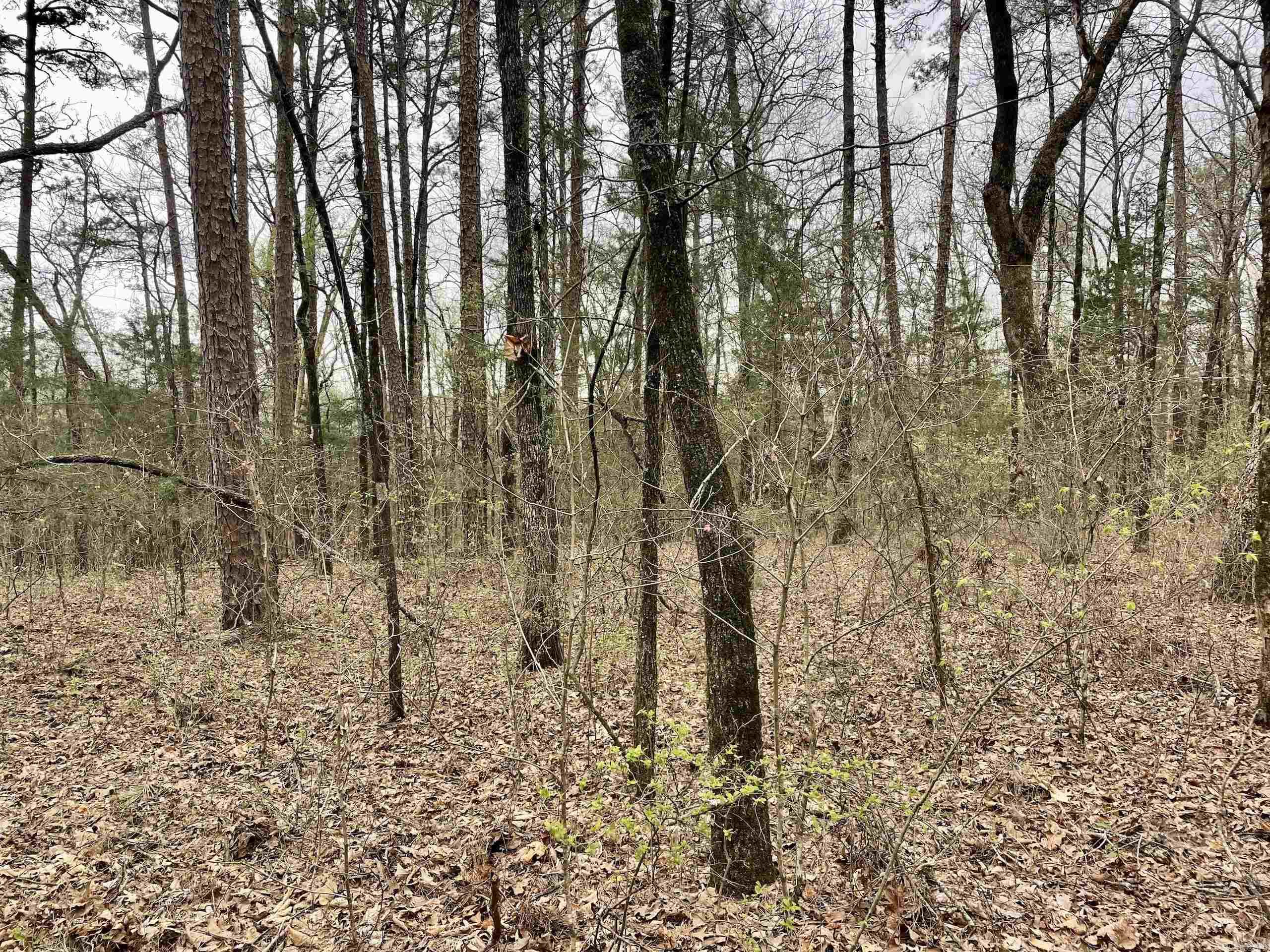 000  Bettis Mountain  Quitman, AR