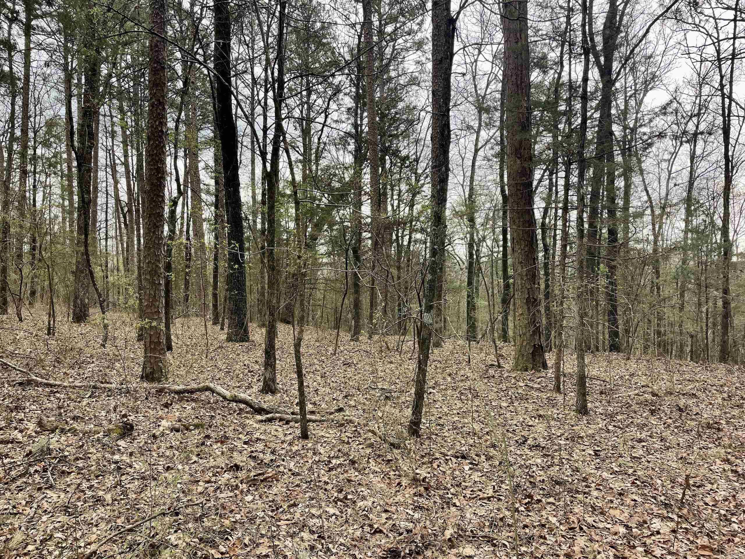 000  Bettis Mountain  Quitman, AR