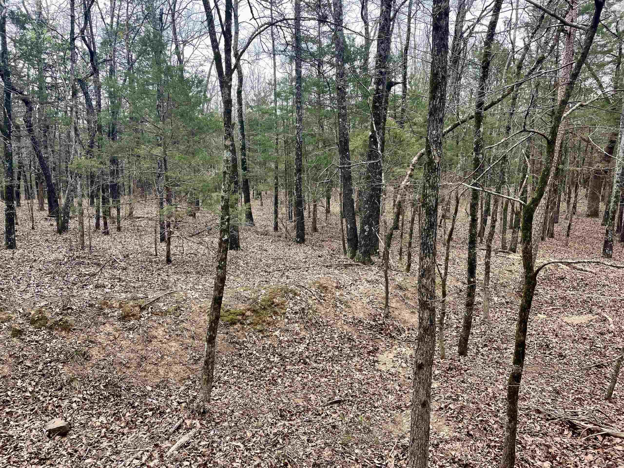 000  Bettis Mountain  Quitman, AR