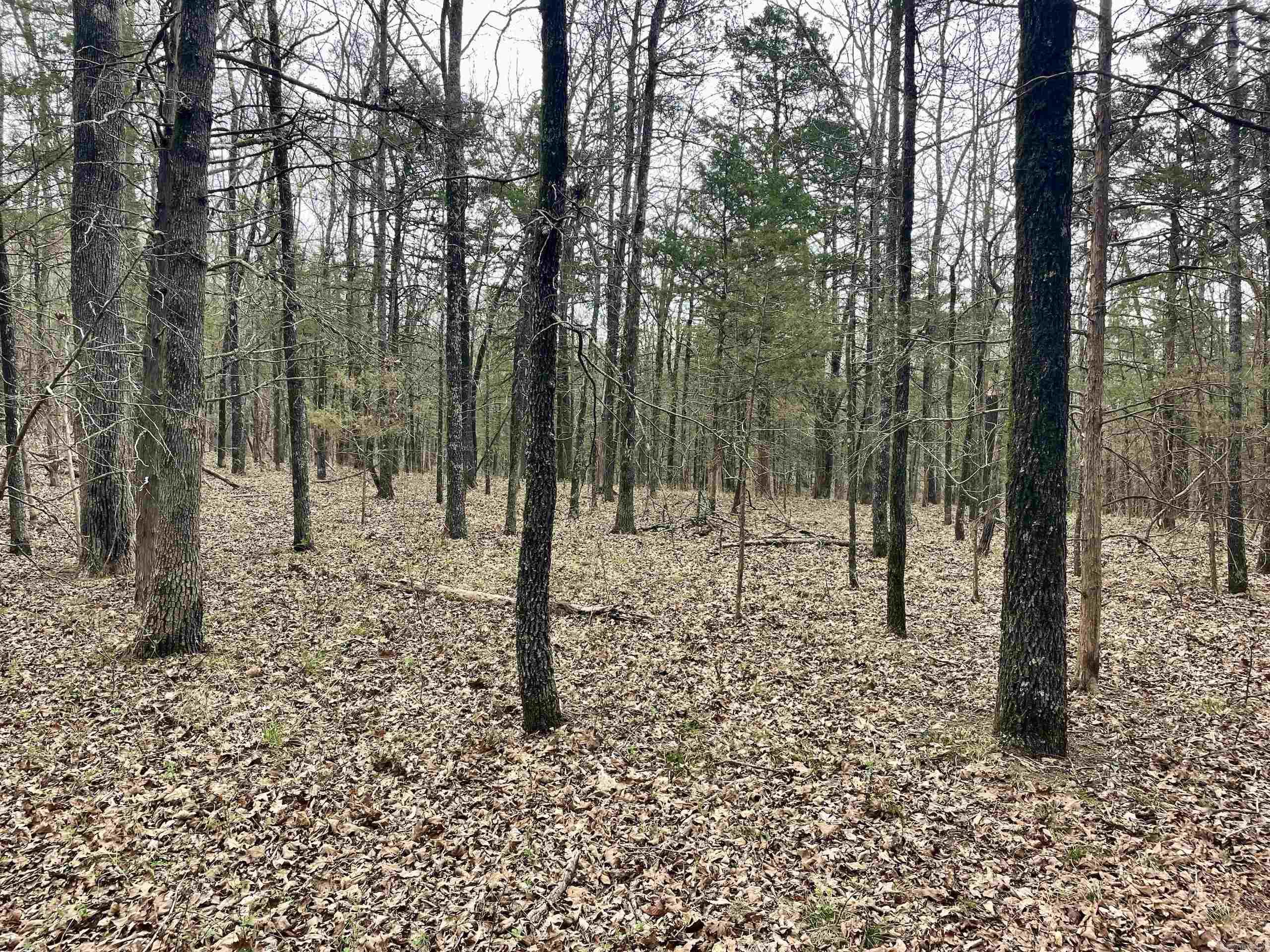 000  Bettis Mountain  Quitman, AR