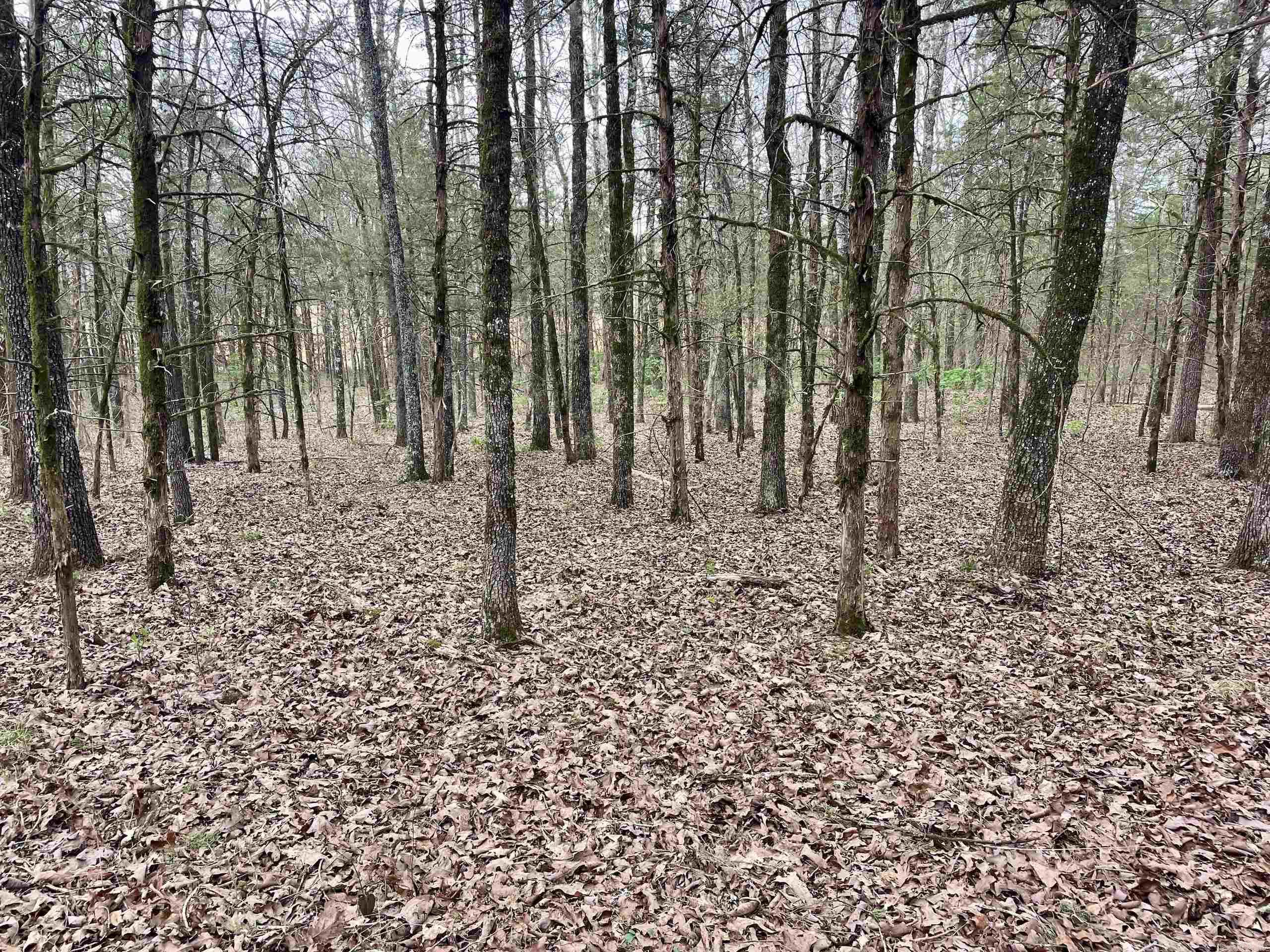 000  Bettis Mountain  Quitman, AR