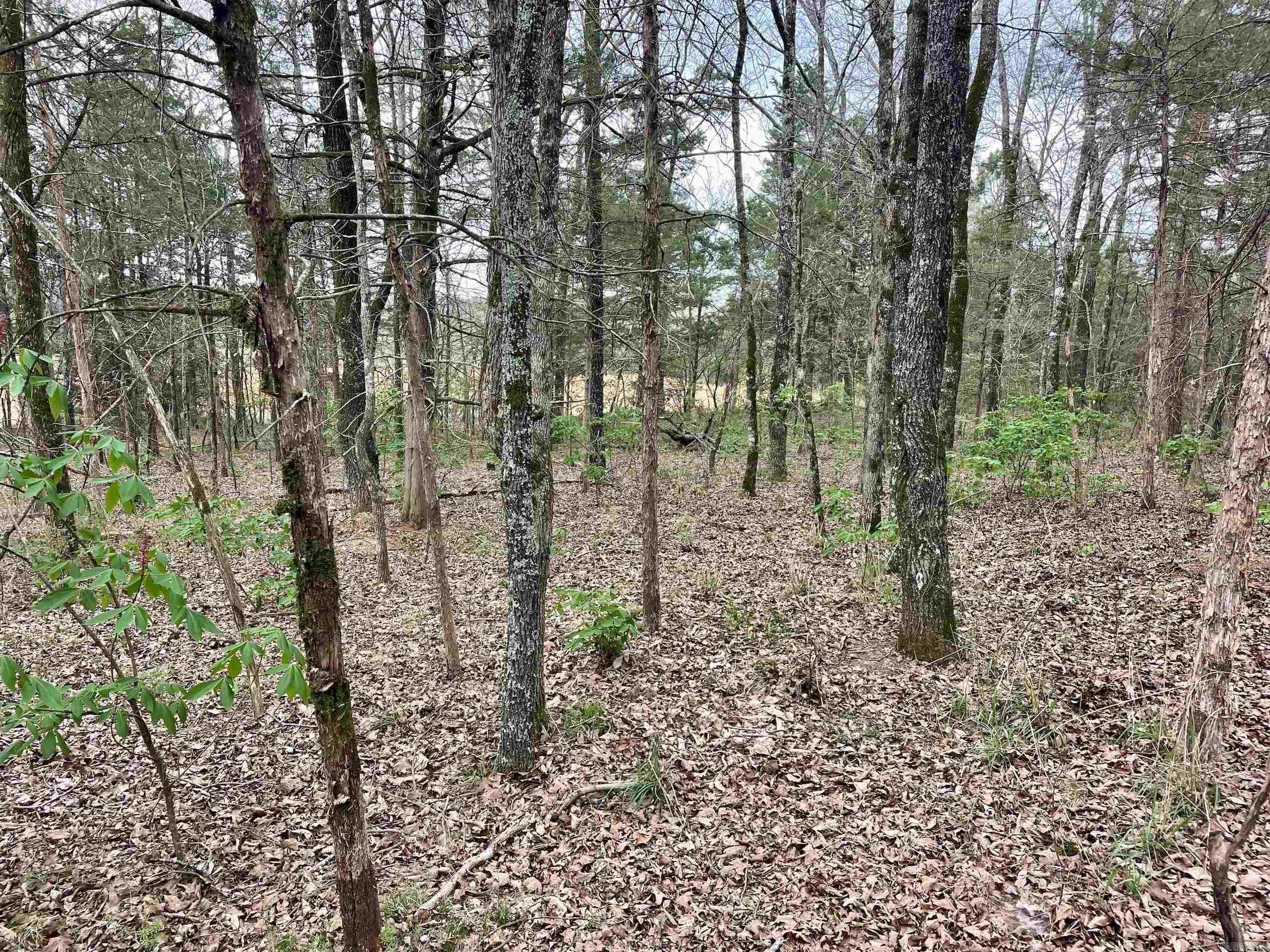 000  Bettis Mountain  Quitman, AR