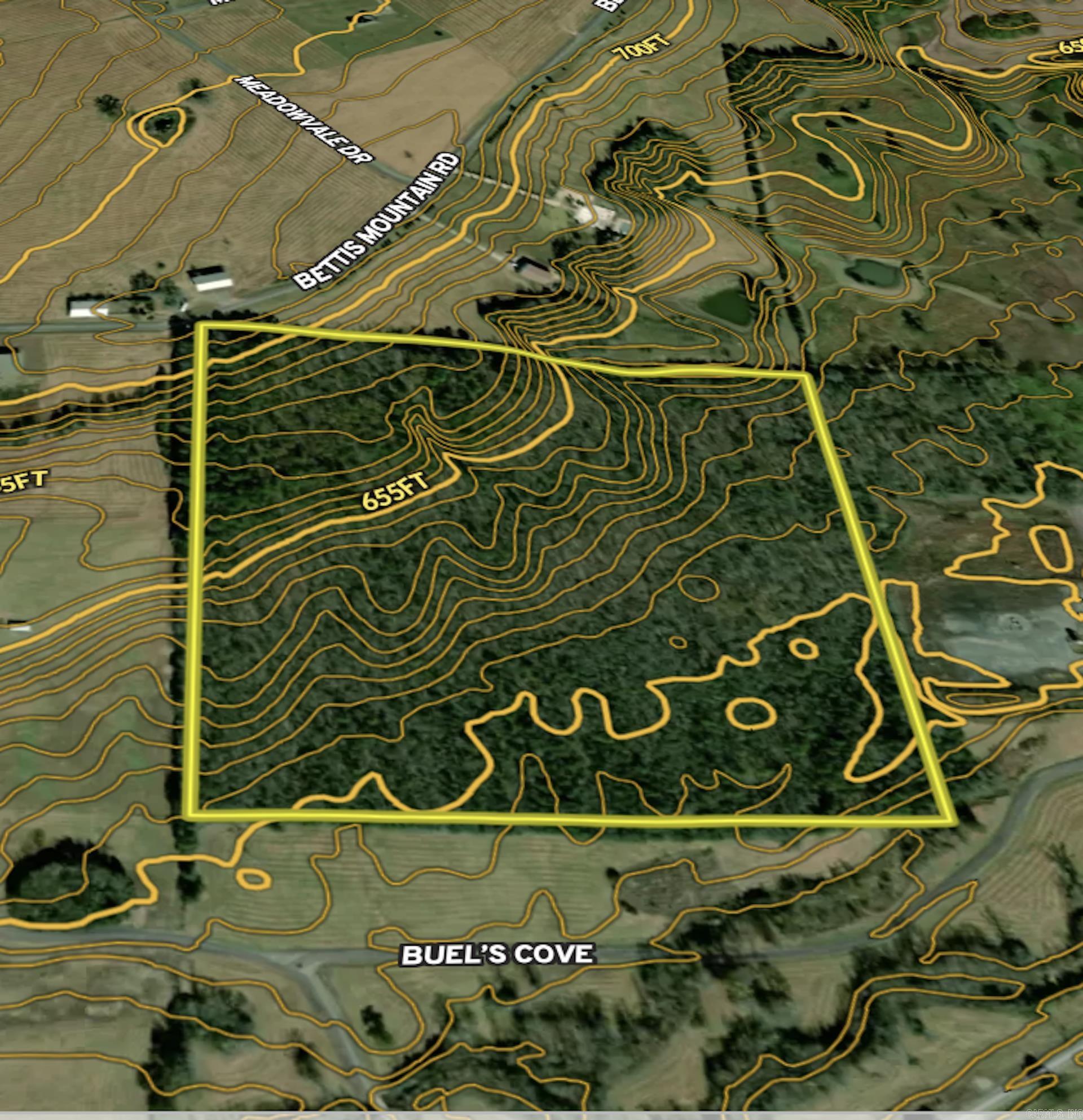 000  Bettis Mountain  Quitman, AR