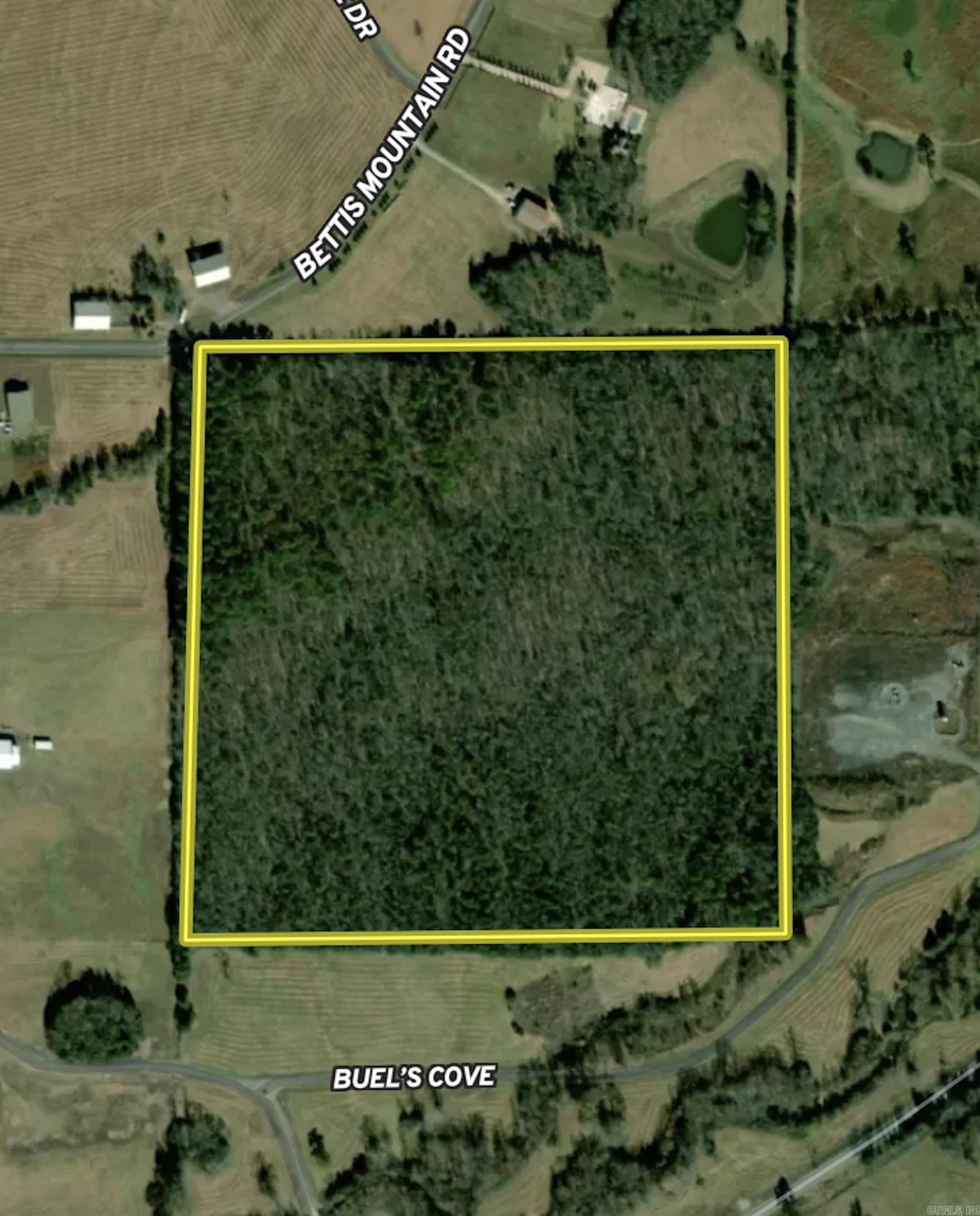 000  Bettis Mountain  Quitman, AR