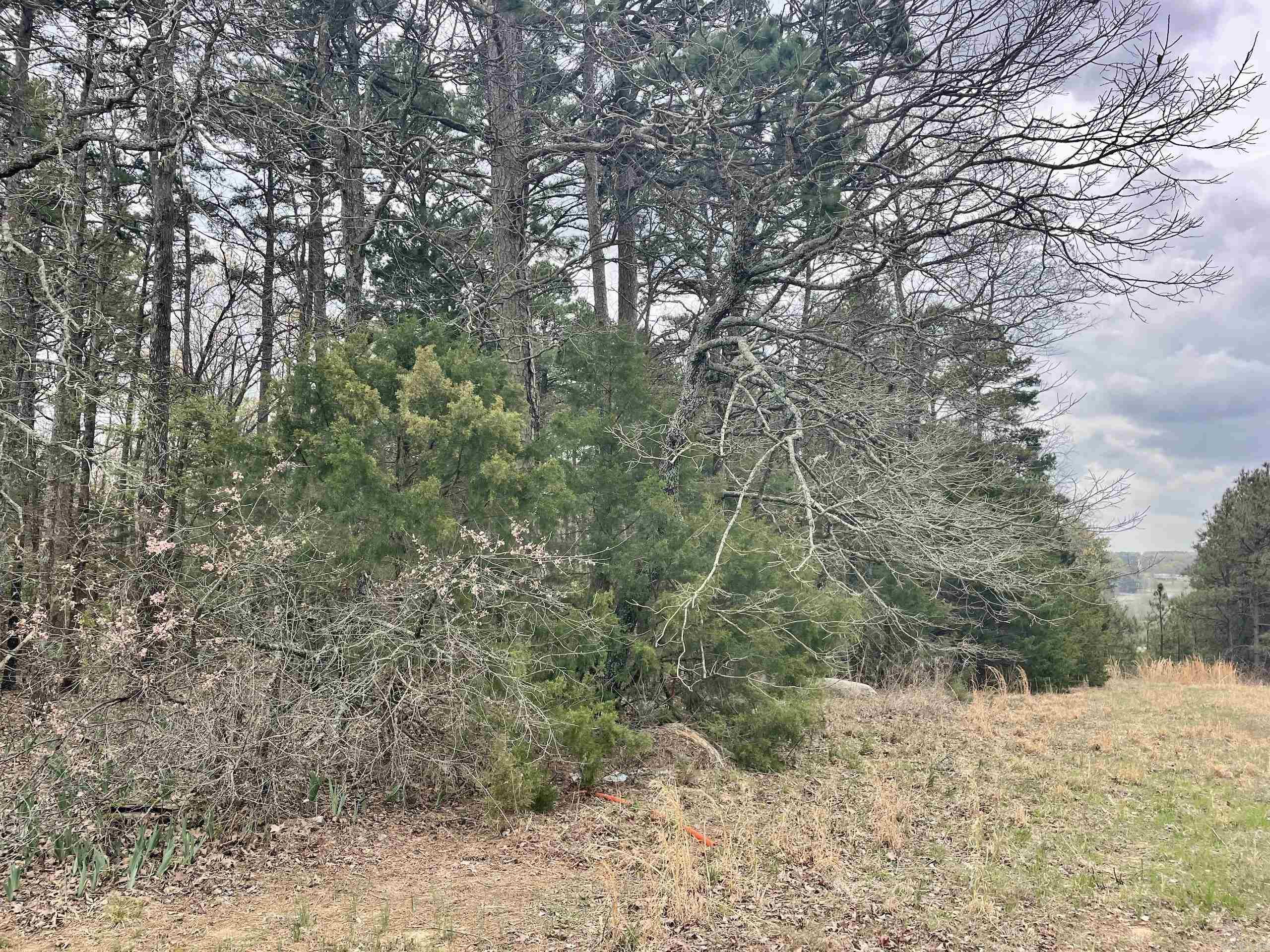 000  Bettis Mountain  Quitman, AR