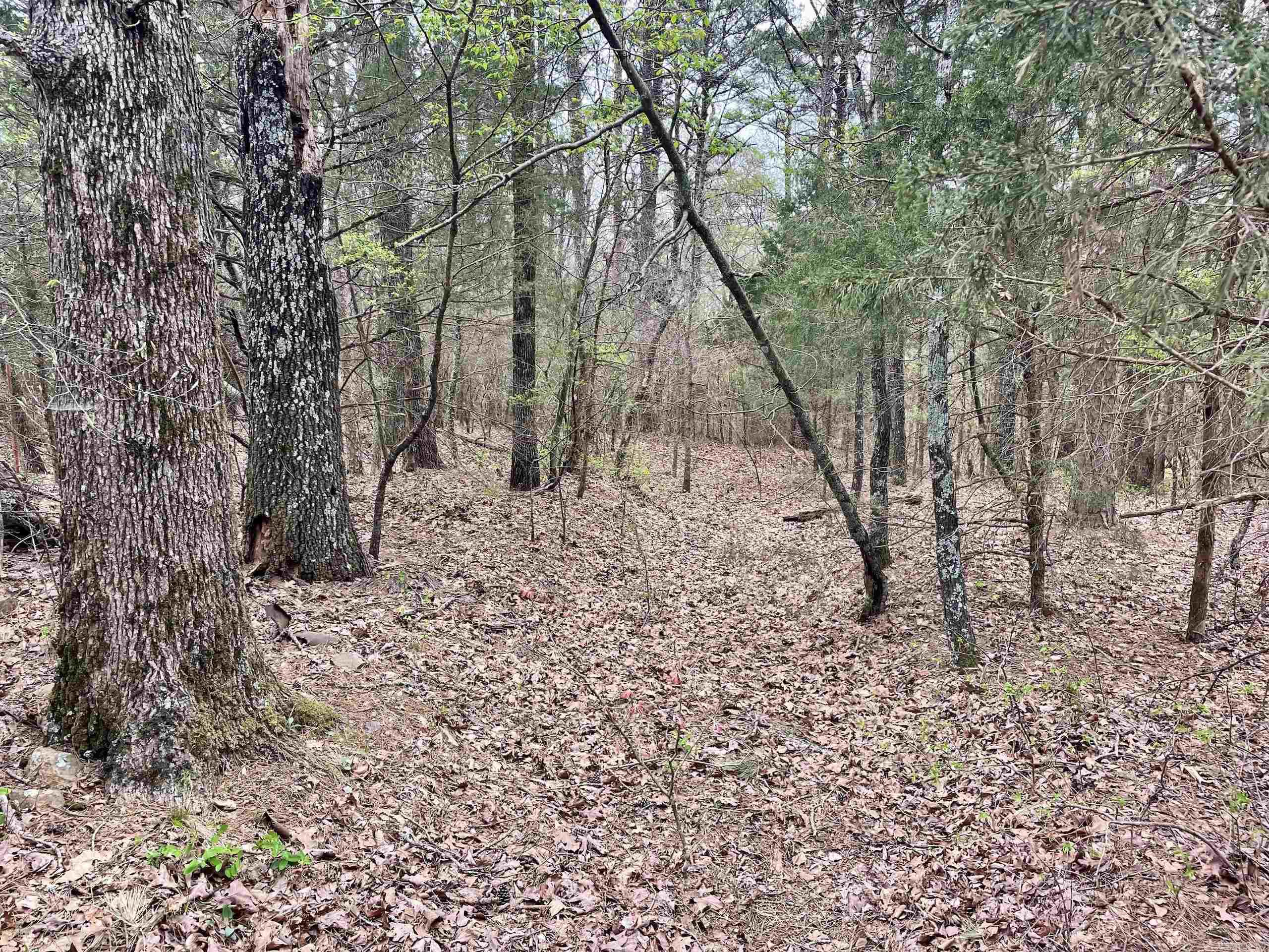000  Bettis Mountain  Quitman, AR
