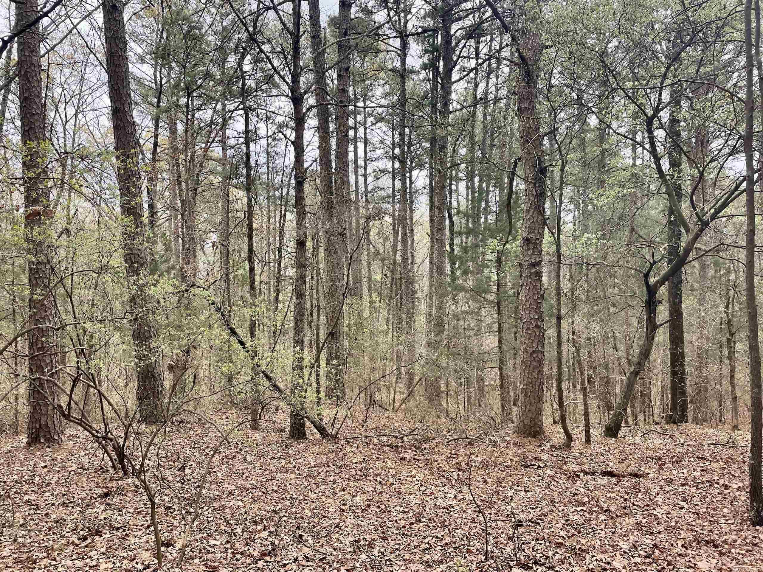 000  Bettis Mountain  Quitman, AR